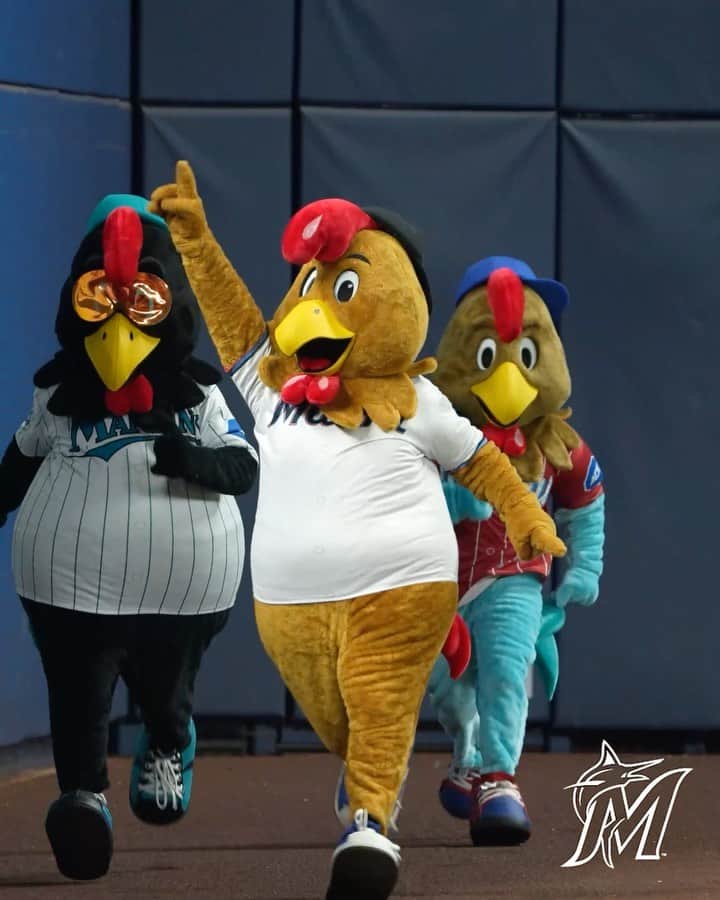 マイアミ・マーリンズさんのインスタグラム写真 - (マイアミ・マーリンズInstagram)「ICYMI: We have a Rooster ...