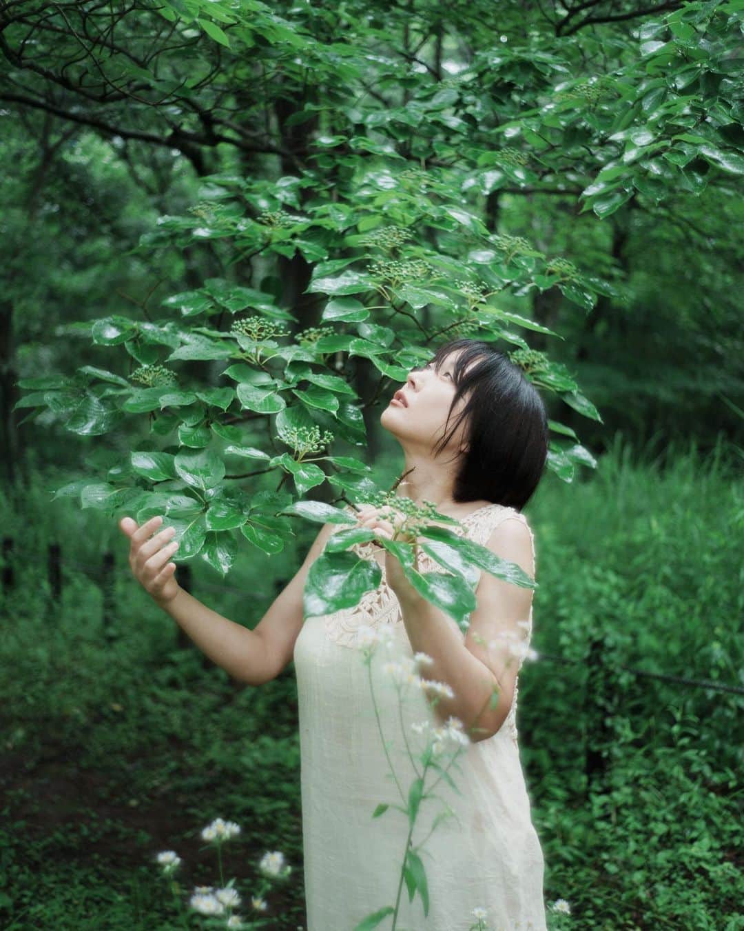 haru wagnusさんのインスタグラム写真 - (haru wagnusInstagram)「Rain fall drops and tears  ㅤㅤㅤㅤㅤㅤㅤㅤㅤㅤㅤㅤㅤ ㅤㅤㅤㅤㅤㅤㅤㅤㅤㅤㅤㅤㅤ 雨の森に入って葉に落ちる水の音や 濡れた新緑の香りと湿度が滲んで なぜか子供の頃を思い出して感情が揺さぶられた。 ㅤㅤㅤㅤㅤㅤㅤㅤㅤㅤㅤㅤㅤ ㅤㅤㅤㅤㅤㅤㅤㅤㅤㅤㅤㅤㅤ w / @arisa_hanyu  ㅤㅤㅤㅤㅤㅤㅤㅤㅤㅤㅤㅤㅤdress / @shein_japan  @sheinofficial  ㅤㅤㅤㅤㅤㅤㅤㅤㅤㅤㅤㅤㅤ 📷#LeicaM11 + #summilux35steelrim  ㅤㅤㅤㅤㅤㅤㅤㅤㅤㅤㅤㅤㅤ」8月2日 10時18分 - wagnus