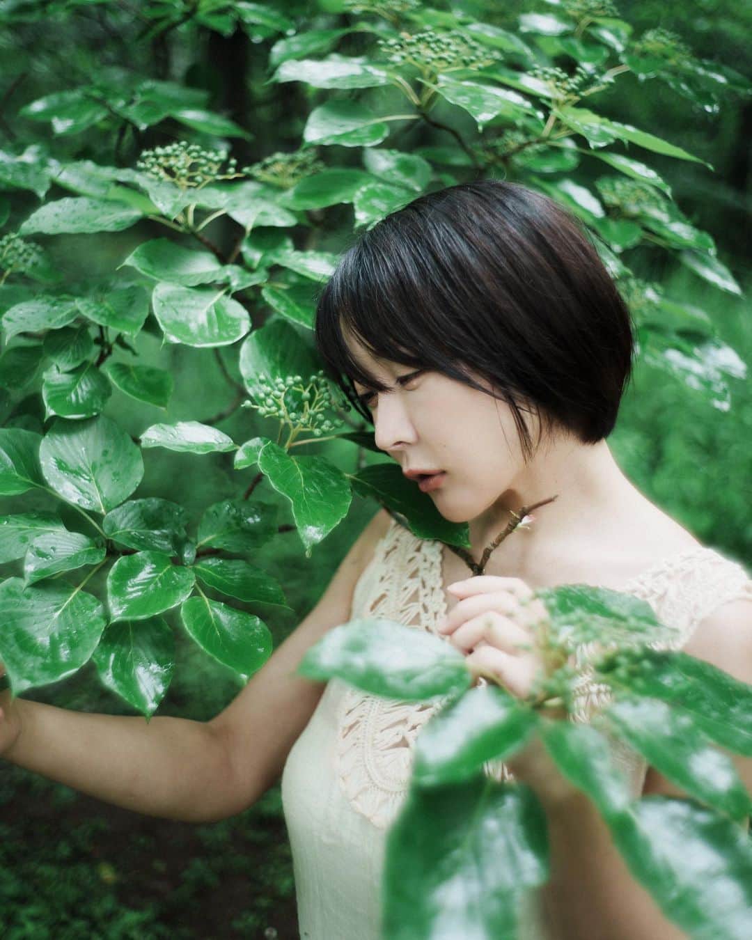 haru wagnusさんのインスタグラム写真 - (haru wagnusInstagram)「Rain fall drops and tears  ㅤㅤㅤㅤㅤㅤㅤㅤㅤㅤㅤㅤㅤ ㅤㅤㅤㅤㅤㅤㅤㅤㅤㅤㅤㅤㅤ 雨の森に入って葉に落ちる水の音や 濡れた新緑の香りと湿度が滲んで なぜか子供の頃を思い出して感情が揺さぶられた。 ㅤㅤㅤㅤㅤㅤㅤㅤㅤㅤㅤㅤㅤ ㅤㅤㅤㅤㅤㅤㅤㅤㅤㅤㅤㅤㅤ w / @arisa_hanyu  ㅤㅤㅤㅤㅤㅤㅤㅤㅤㅤㅤㅤㅤdress / @shein_japan  @sheinofficial  ㅤㅤㅤㅤㅤㅤㅤㅤㅤㅤㅤㅤㅤ 📷#LeicaM11 + #summilux35steelrim  ㅤㅤㅤㅤㅤㅤㅤㅤㅤㅤㅤㅤㅤ」8月2日 10時18分 - wagnus