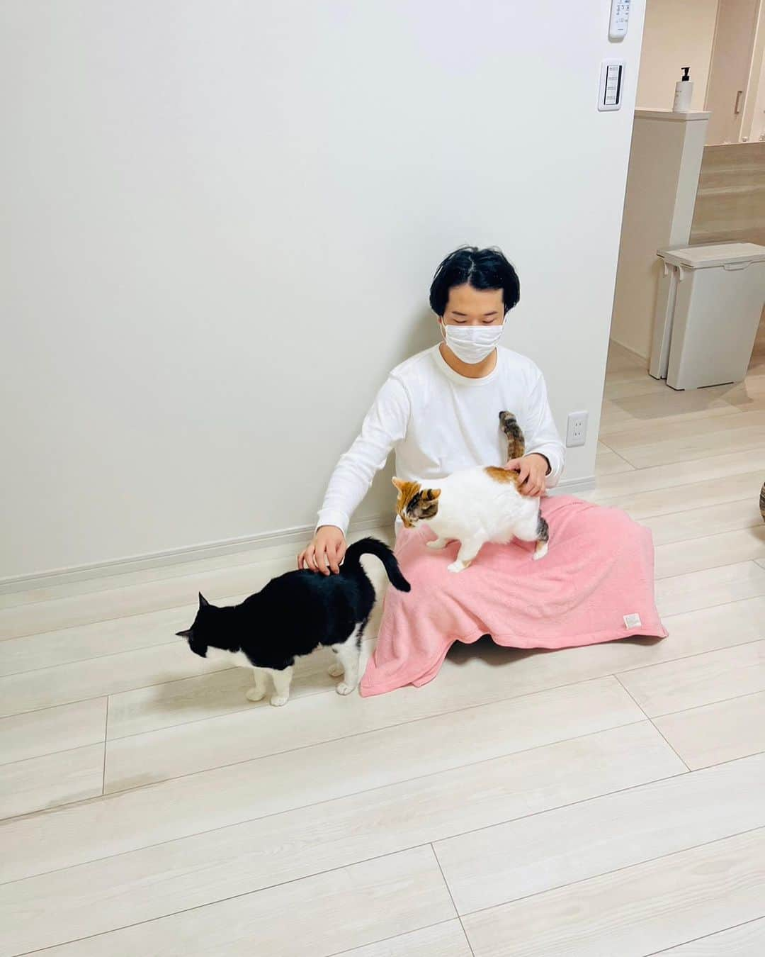 渋谷ジャパンさんのインスタグラム写真 - (渋谷ジャパンInstagram)「実は結婚して夫婦2人と保護猫5匹の家族になりました🐈🐈🐈🐈🐈  元々彼女が保護猫5匹を飼ってました！  小学生の時にハムスター1匹飼ったことがあるだけ人間だったし、少し猫アレルギーもあるので、まさか自分が猫5匹飼うとは夢にも思ってなかったのですが笑  毎日にぎやかで楽しいです！！  そして『渋谷さん家は猫ざんまい』という YouTubeチャンネルを始めました！  なかよし保護猫5匹の可愛さを伝えていければと思うのでぜひチャンネル登録よろしくお願いします！  #おるたなchannel  #猫  #保護猫  #ほぼ猫カフェ」8月2日 11時02分 - shibuya_japan