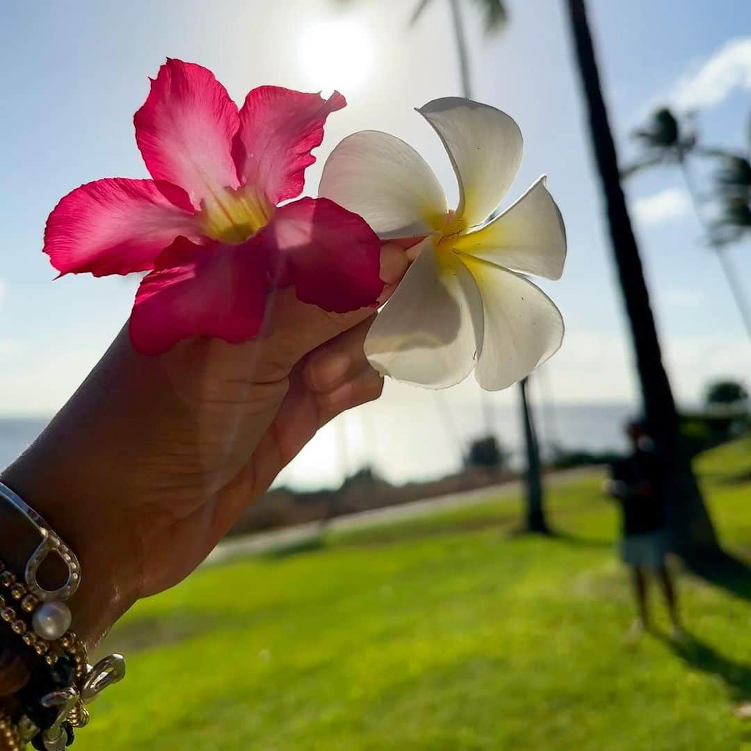 田中律子さんのインスタグラム写真 - (田中律子Instagram)「マウイ島からモロカイ島へ🏝️ モクレレエアーは、チェックイン時に体重聞かれます😂小さなプロペラ機だから、バランス良く乗らないと傾くからね✈︎ 出発が4時間半遅れて、やっとこさモロカイ島に到着‼️  4年ぶりのモロカイ島は時が止まってたかのような、何も変わってない🤩🌴オールドハワイが残る本当に素敵な島🏝️  #hawaii  #molokai  #mokuleleairlines  #molokai2oahu  #4年ぶりの開催」8月2日 11時06分 - ri2kotanaka