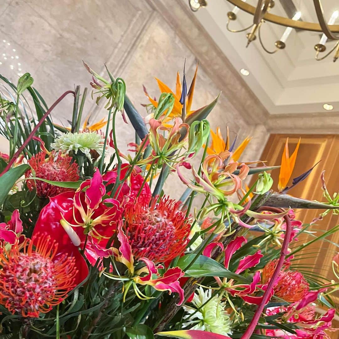 【公式】ホテルニューグランドさんのインスタグラム写真 - (【公式】ホテルニューグランドInstagram)「＊ ＜今月のロビー装花＞ 先月のひまわりからガラッと雰囲気を変え、 夏らしさやリゾート気分を ご堪能いただけるようなアレンジメントで 皆様をお迎えいたします🌺✨   #ホテルニューグランド #クラシックホテル #今月のロビー #ロビー装花 #ホテルロビー #8月 #横浜 #横浜ホテル #花のある暮らし #お花 #お花見 #ウェルカムフラワー #ウェルカムスペース #歓迎 #フラワーアレンジメント #アルストロメリア #グロリオサ #ストレリチア #バードオブパラダイス #極楽鳥花 #ピンクッション #アンスリウム #hotelnewgrand #yokohama #flowerstagram #flower #Summer」8月3日 10時00分 - hotelnewgrand