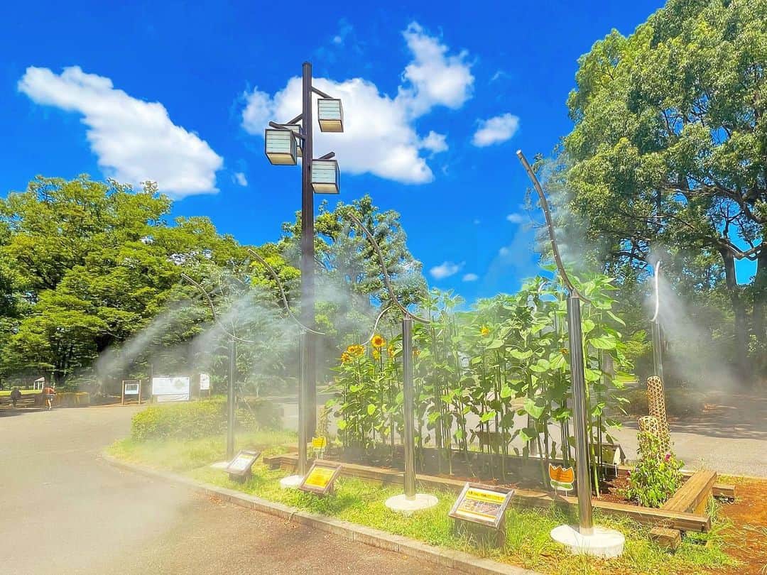 YOKANのインスタグラム