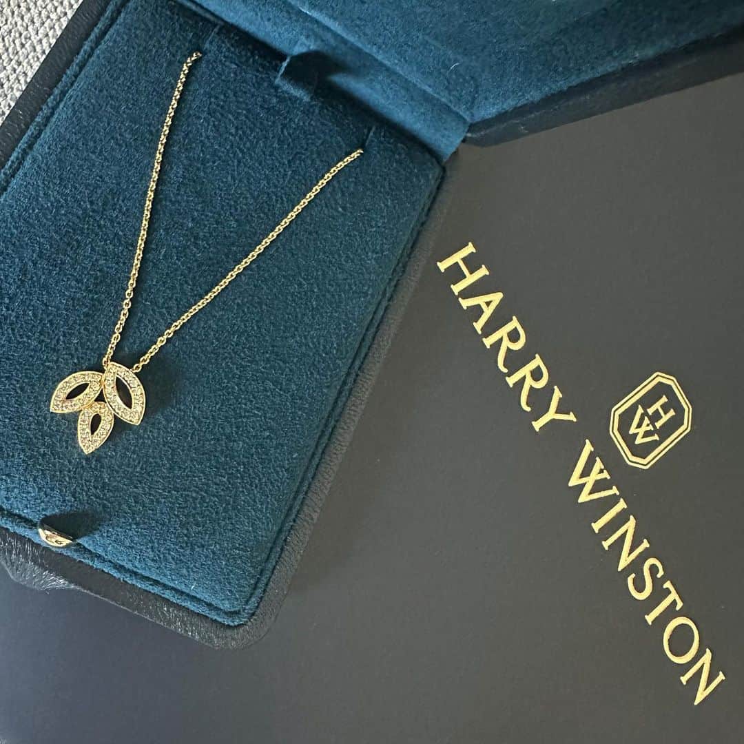 MIURAMAIのインスタグラム：「HARRY WINSTON♥️  #harrywinston #何でもない日のプレゼント」