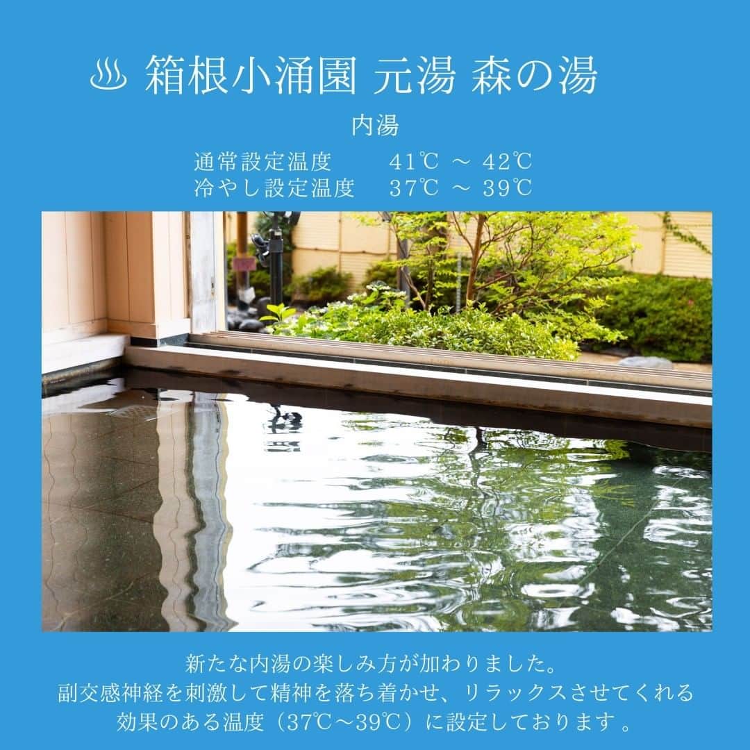 箱根小涌園 ユネッサンさんのインスタグラム写真 - (箱根小涌園 ユネッサンInstagram)「♨はこね冷やし温泉はじめました♨ 暑い夏でも快適に温泉を楽しんでももらおうと、元湯 森の湯に微温浴をご用意！ リラックス効果のある温度に設定！ず～っと入っていたくなるような気持ちの良いお風呂です☺️  #おすすめ #vlog #ボザッピィ #ユネッサン #箱根 #hakone #yunessun #ホテル #箱根ホテル小涌園 #hotel #onsen #hotsprings #pool #sightseeing #travelhakone #カップル #デート #ファミリー #旅行 #ファミリー旅行 #デートスポット #旅行好きな人と繋がりたい #旅行好き #箱根旅行 #家族風呂 #家族旅行 #家族の時間 #おでかけスポット #hakonejapan #japantravel」8月2日 13時02分 - yunessun_hakone