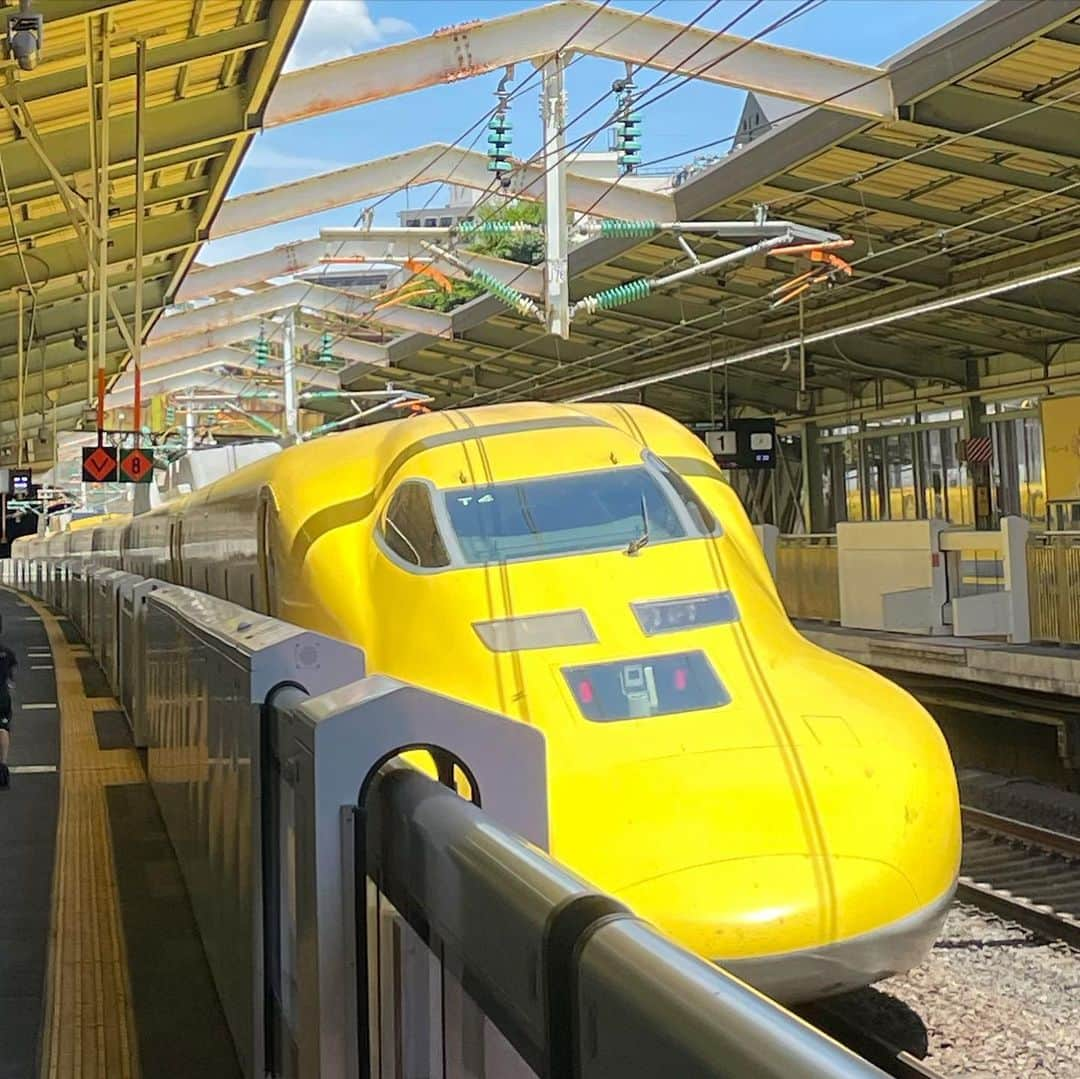 岡本沙紀さんのインスタグラム写真 - (岡本沙紀Instagram)「わーーーーー！！！！  The platform was shining with the reflection of Doctor Yellow, the Shinkansen of luck🍀   Doctor Yellow is a nick name for the special yellow shinkansens with diagnostic equipment. It is not for transportation services hence quite rare!  幸運の新幹線・ドクターイエローがホームを黄金に照らしていました✨✨✨  人生で初めてみました😍❣️嬉しい〜〜〜〜  #ドクターイエロー #n700系 #新幹線 #doctoryellow #shinkansen」8月2日 13時23分 - okamoto_sa_ki