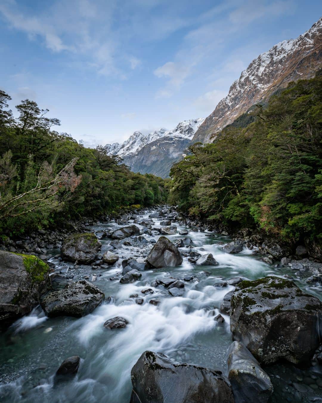 Nikon Australiaさんのインスタグラム写真 - (Nikon AustraliaInstagram)「A recent trip had @jakewiltonphoto taking the Z 8 for a spin and he certainly captured the essence of New Zealand in this mesmerising series.   "I had the pleasure of testing out the new Z 8 on a recent trip to New Zealand. I was extremely pleased with my results and the quality of the images. The camera feels great in the hand and finds the balance between the larger Z 9 and smaller Z 7II.   The Z 8 is a game changer for nature photography with its 20fps. The AI autofocus with subject tracking and eye detection is incredibly accurate and reliable when in the field giving you a higher success rate for your wildlife action shots. The fully articulated tilt screen is an amazing addition for shooting wildlife in portrait low to the ground giving you the ability to accurately compose your image."   Photos by @jakewiltonphoto  Captured on the Z 8  #Nikon #NikonAustralia #NikonCreators #MyNikonLife #NIKKOR #NikonZ8 #Z8 #LandscapePhotography #WildlifePhotography #TravelPhotography #NewZealand」8月2日 13時30分 - nikonaustralia