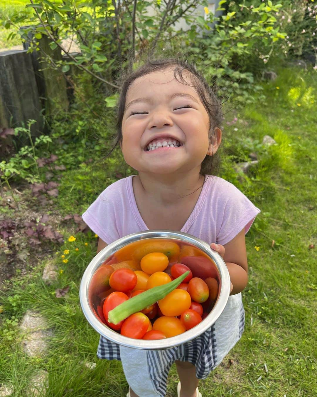 aco.のインスタグラム：「2023.8.2  少し前の📷から  #庭のトマト が豊作です🍅  今年は娘が欠かさず収穫してくれるので 助かります  こんなに喜んで採ってくれるのに なかなかトマト好きになってくれず ねずみが齧るほどしか食べてくれない謎🙄 . . . それはそうと、全然違う話なのですが 半年ほど前から 「あれ？これは老眼か…？？」というような ピントが合いにくいかも… みたいなことがあったのですが ここ数週間で 一気に見えにくくなった気がして😇  投稿作るのも見えにくくて ちょっと億劫に…  歳取ると色々億劫になるって こういうことかー！？と感じた1コマ  最近、サッカーの応援三昧で 疲れてるからかも？なんで足掻いてるけど 老いも受け入れつつ 元気にアクティブに歳を取りたいなぁと思ってます  ↑急に抱負😂 . . . . . #aco子育て記録 . #畑のある暮らし #緑のある暮らしを楽しむ #グリーンのある暮らしを楽しむ #季節を楽しむ暮らし #ムクリ #マイホーム #木の家 #平屋 #平屋建て #平家の家 #平家住宅 #平屋暮らし #こどものいる暮らし #こどもと暮らす #子育てを楽しむ #3歳 #3歳女の子 #10月生まれ #幼稚園児 #こどものいる暮らし #こどもと暮らす #子育てを楽しむ  #11歳差子育て #年の差兄妹 #年の差育児  #暮らしを楽しむ家づくり #暮らしの記録 #日常の記録 #日常を楽しむ #日常を楽しく .」