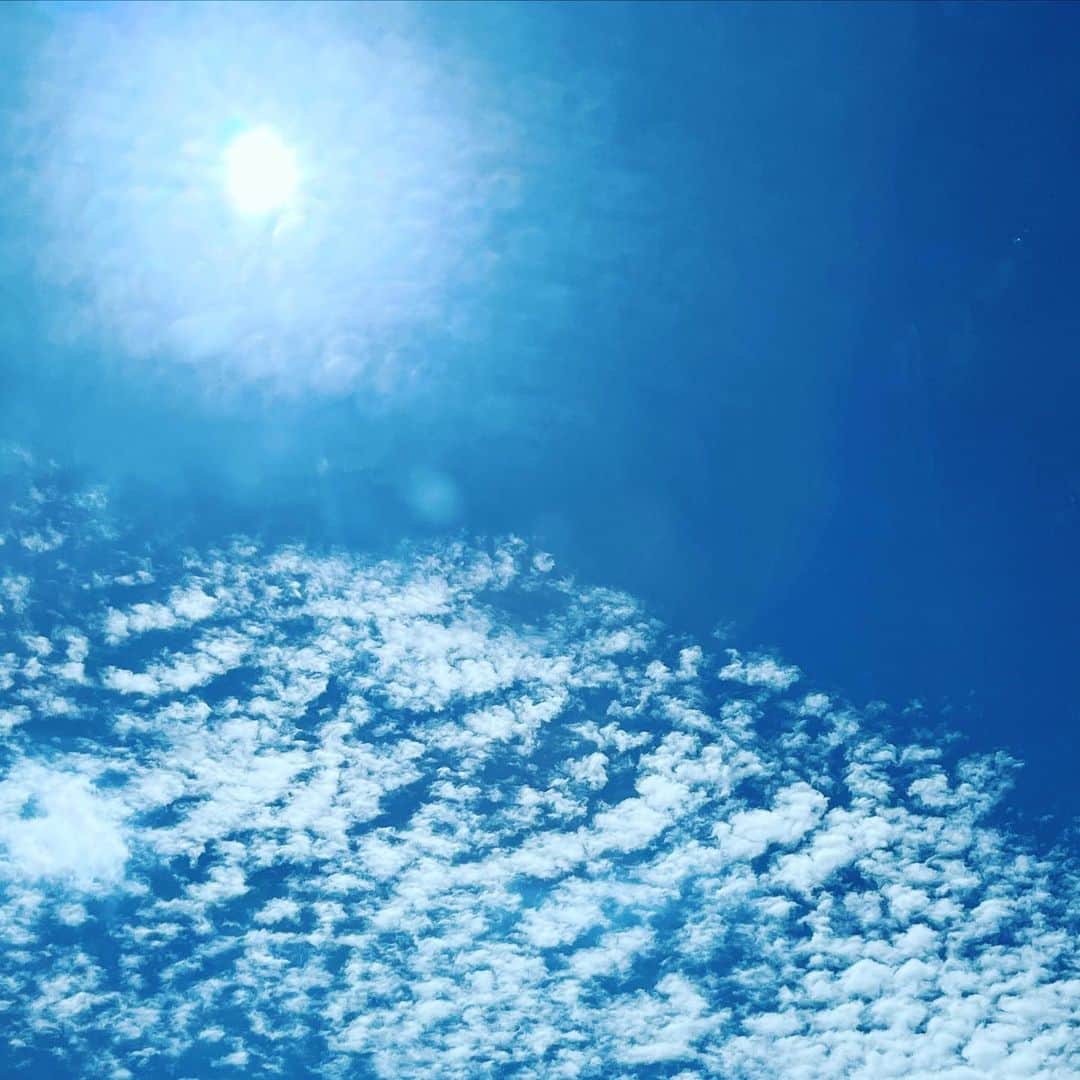藤田朋子さんのインスタグラム写真 - (藤田朋子Instagram)「夏だね  #空 #なつぞら #さまー #私が生まれたのはこんな季節」8月2日 14時33分 - chiendormant
