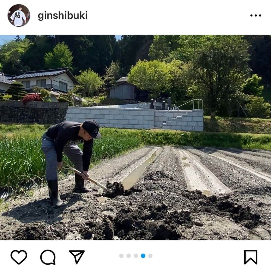 ハロー植田さんのインスタグラム写真 - (ハロー植田Instagram)「銀沫(ぎんしぶき)作りのTikTokを始めました。  銀沫(ぎんしぶき)作りのインスタ新アカウントを作りました。  YouTubeを再開し、銀沫(ぎんしぶき)作りのショート動画のアップを始めました。  銀沫作り、やってます🥔  まにわ銀沫PR大使 まにわ銀沫ねばり隊隊長 ハロー植田  #真庭市 #特産品 #銀沫 #ぎんしぶき #まにわ銀沫PR大使 #まにわ銀沫ねばり隊隊長 #ハロー植田 #bz」8月2日 15時27分 - inababa178