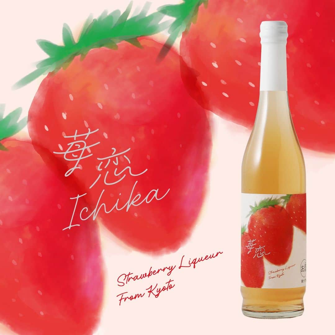 KURAND@日本酒飲み放題のインスタグラム：「完熟苺と泡のお酒🍓🍻  いちごに恋するスパークリング ─ 苺恋 （いちか） ─  完熟苺の天然果汁で造られた、 華やかな香りと甘酸っぱさを堪能できる 至福のいちごスパークリング酒  苺恋（いちか）の最大の魅力は 赤すぎないこの「色」です。  ゼロ着色で、完熟苺の天然果汁だけが スパークリングの泡と調和してできた色。  この色ゆえに、その味わいも最高。 いちごの “甘くて美味しい部分” だけが ストレートに “スパークリング果実酒” に なった、いちご好きのための至福のお酒です。  ---------------------------- 新しいお酒とたくさん出会える！ 他のお酒や企画はプロフィールへ →@kurand_info ----------------------------  オンライン酒屋「クランド」は、 お酒にまつわる情報を発信しています！  #クランド #酒ガチャ #いちご酒 #いちご好き #お酒好きな人と繋がりたい #果実酒 #フルーツ酒 #いちご大好き #お酒大好き #お酒好き」