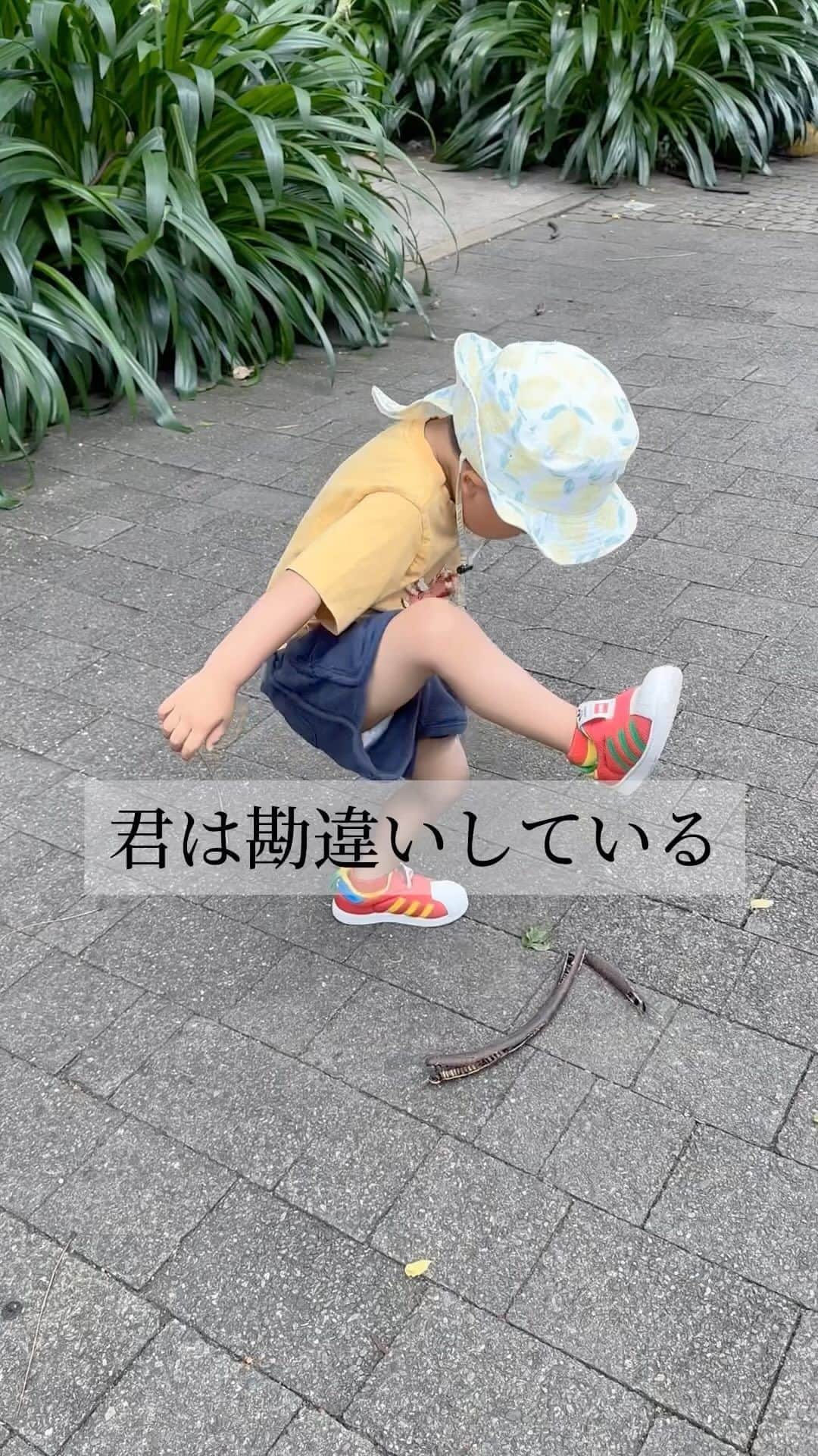 のインスタグラム：「人生、そんな、なんでもうまくはいかないか...とへこんだ日に出会った音源。  歩きやすい道じゃなかったとしても、良い景色が見れる道を歩めたらいいなぁ...。  #人生」