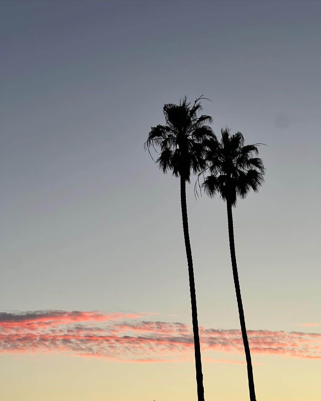 Zoe Ballantyneさんのインスタグラム写真 - (Zoe BallantyneInstagram)「A week in LA with LM. 🖤 #lesmillslive」8月3日 3時45分 - zoeballantyne
