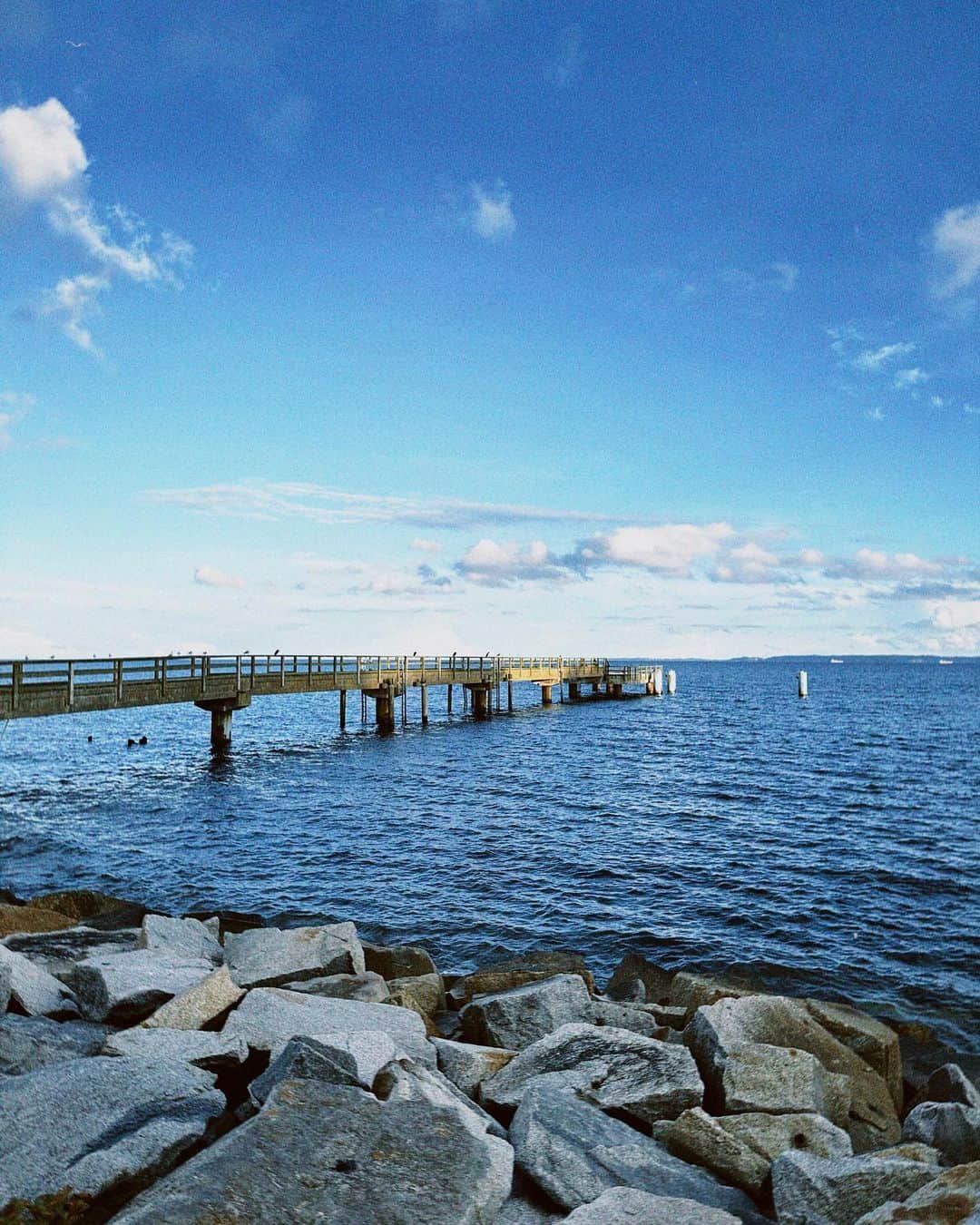 エイドリアン・コレシャのインスタグラム：「Mein erstes Mal Ostsee. 1. Sassnitz 2. zu viel Gepäck für zu wenig Tage 🧳 3. @fizzylyzzie  4. Wo soll @elke_roehr sitzen? 5. Details 6. Touri-Foto 7. Frühstück ohne Brei 8. Wir testen Elkes Bett. 9. 🥺 10. Brutus und ich + Scream 😱」