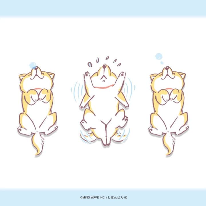 オオゴシヤステルのインスタグラム