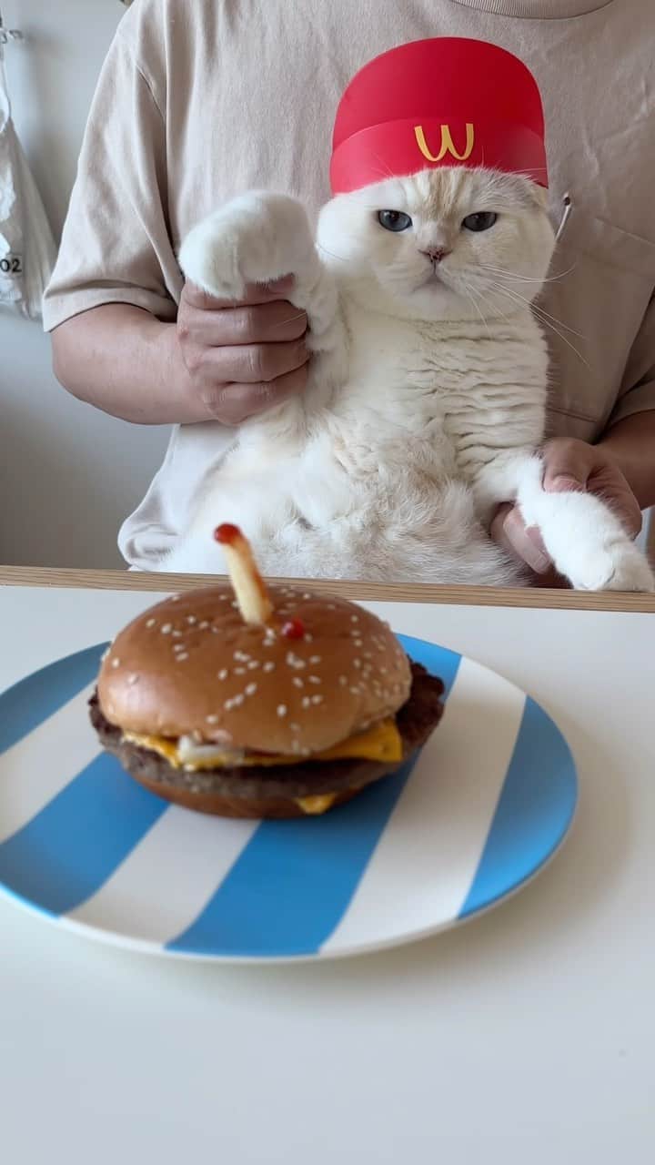 のインスタグラム：「내 생일파티에 너만 못 온 그날,,,😤🎂🔥 왜 안왔어?  #순무 #SoonMoo」