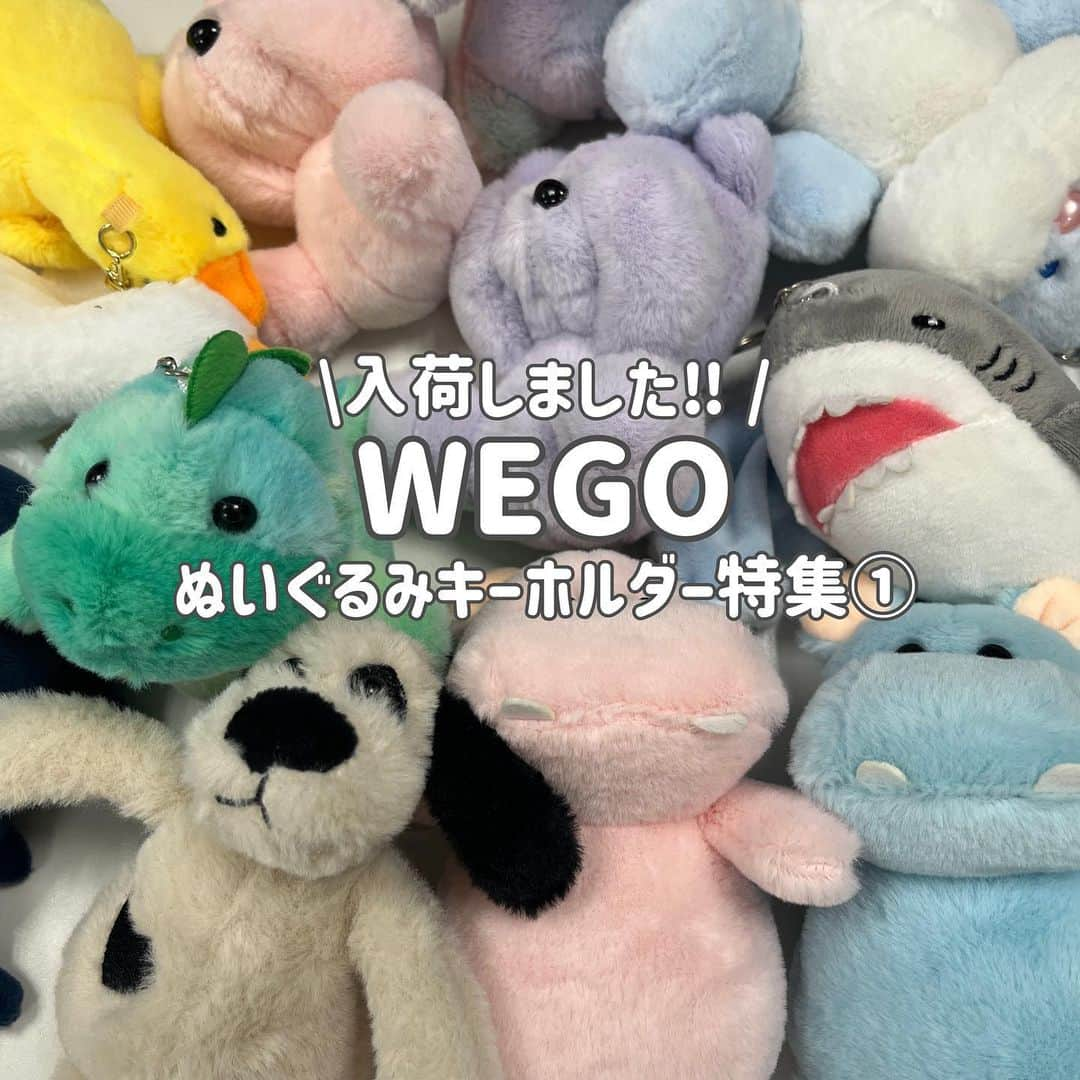 WEGO 1.3.5...のインスタグラム