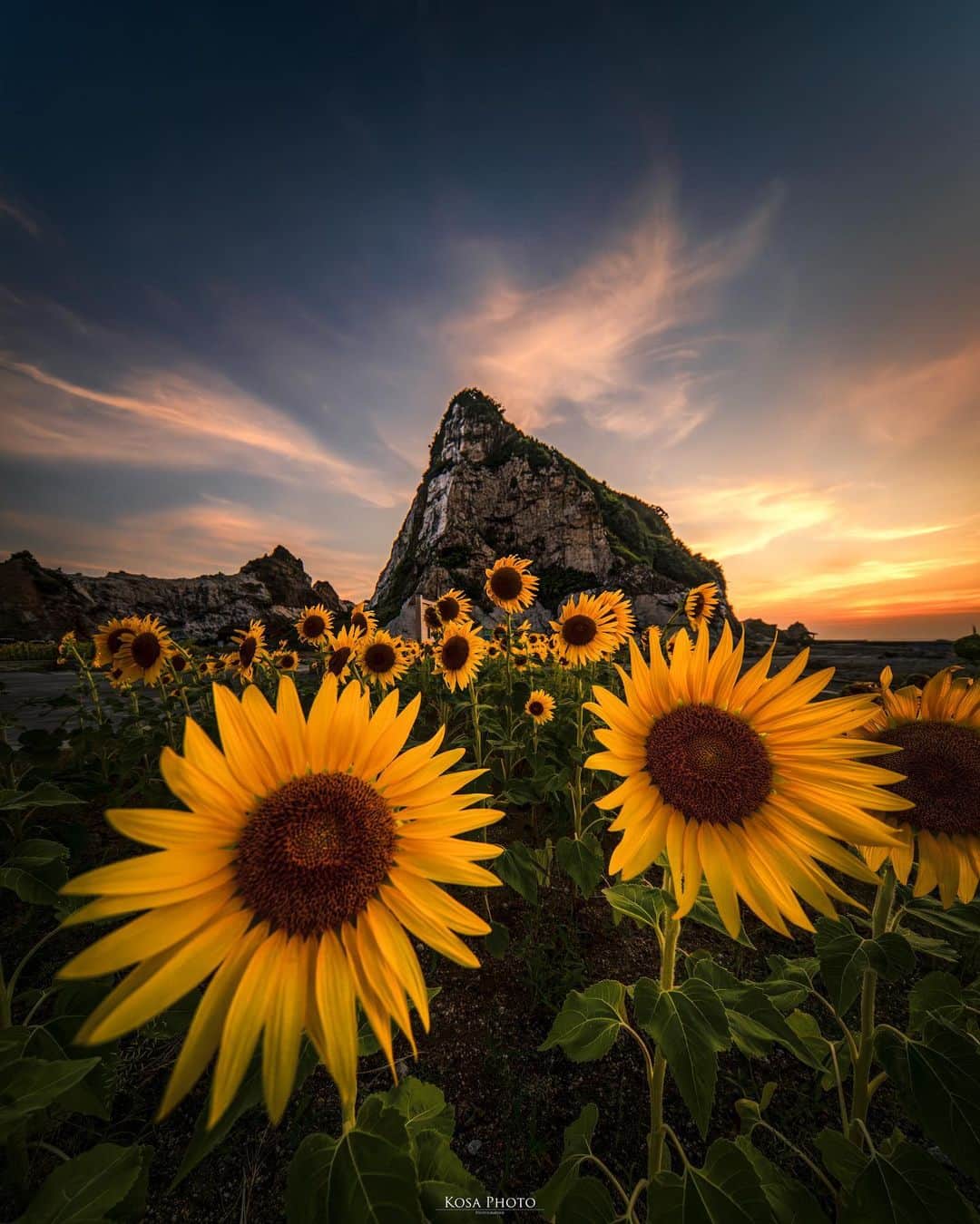 コサのグルメインスタ