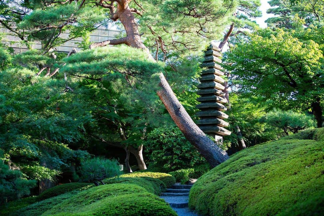 八芳園さんのインスタグラム写真 - (八芳園Instagram)「穏やかな日差しが水面に溶け込む、八月の午後。  やわらかい光に包まれながら 遠くなっていく蝉の声に耳を傾けると、 時間の流れを感じます。  日常から少しだけ離れて、 季節の美に想いを馳せるひとときを お過ごしください。  🍃✨🍃✨🍃  #八芳園 #happoen #日本庭園 #結婚式 #葉月 #august #夏 #港区 #白金台 #お散歩 #reflectiongram #八月  #東京観光 #東京カメラ部 #カメラ好きな人と繋がりたい #写真好きな人と繋がりたい #ファインダー越しの私の世界 #その瞬間に物語を #キリトリセカイ #写真部 #フレア  #japanesegarden #japan_daytime_view #japantravel #tokyotrip #japan_of_insta #jp_mood #tokyotokyo #special_spot #green」8月2日 19時15分 - happoen