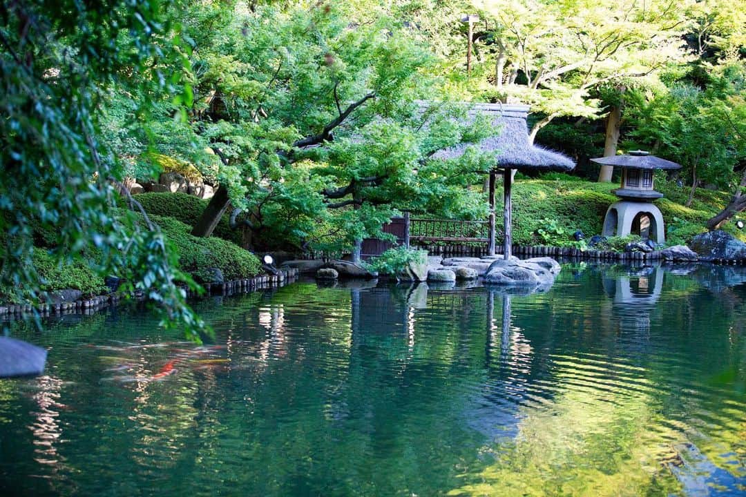八芳園のインスタグラム：「穏やかな日差しが水面に溶け込む、八月の午後。  やわらかい光に包まれながら 遠くなっていく蝉の声に耳を傾けると、 時間の流れを感じます。  日常から少しだけ離れて、 季節の美に想いを馳せるひとときを お過ごしください。  🍃✨🍃✨🍃  #八芳園 #happoen #日本庭園 #結婚式 #葉月 #august #夏 #港区 #白金台 #お散歩 #reflectiongram #八月  #東京観光 #東京カメラ部 #カメラ好きな人と繋がりたい #写真好きな人と繋がりたい #ファインダー越しの私の世界 #その瞬間に物語を #キリトリセカイ #写真部 #フレア  #japanesegarden #japan_daytime_view #japantravel #tokyotrip #japan_of_insta #jp_mood #tokyotokyo #special_spot #green」