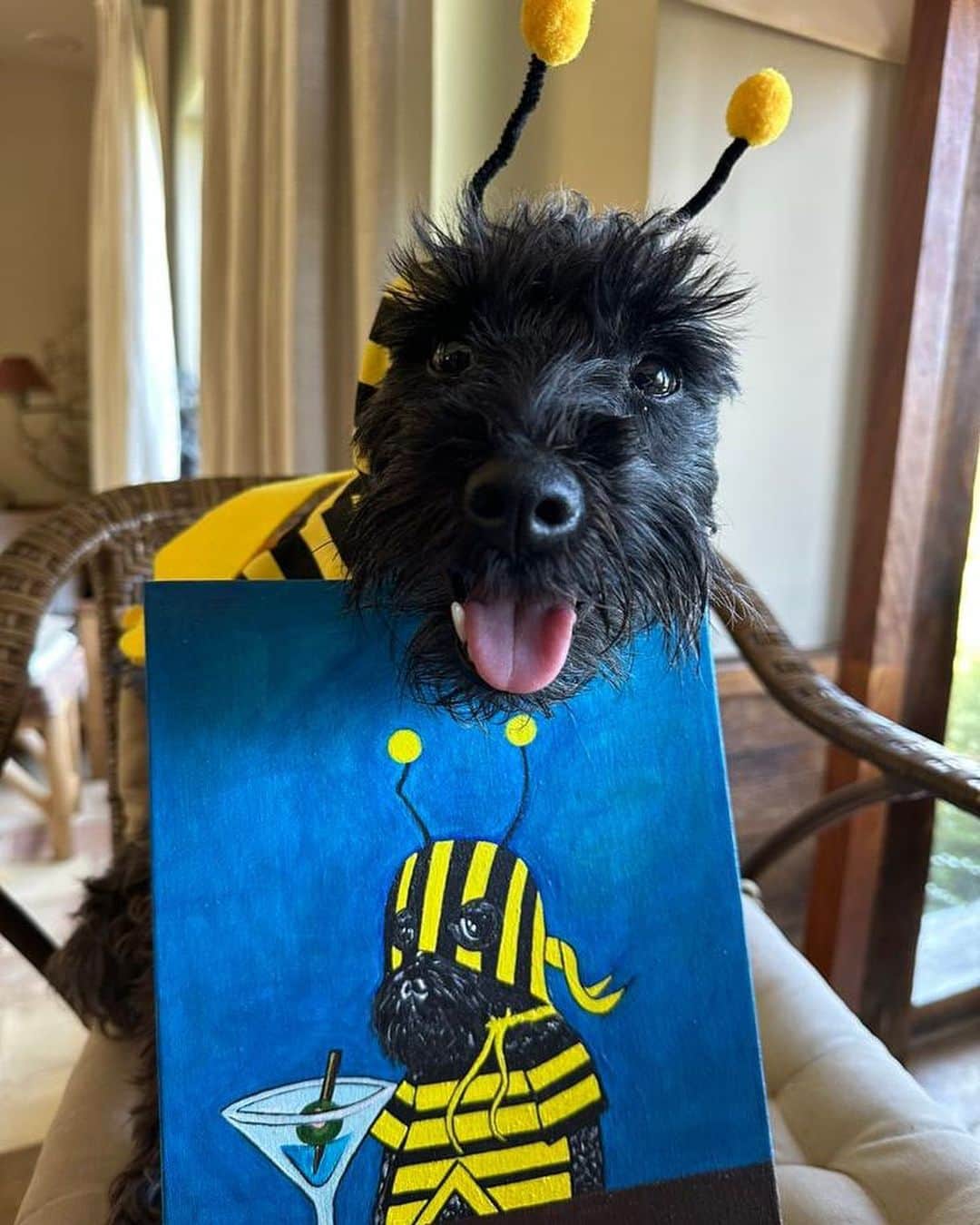 エヴァ・グリーンのインスタグラム：「The most fabulous portrait of Mister Winston by the fabulous , incredibly gifted  @rubyrose 🐝🖤」