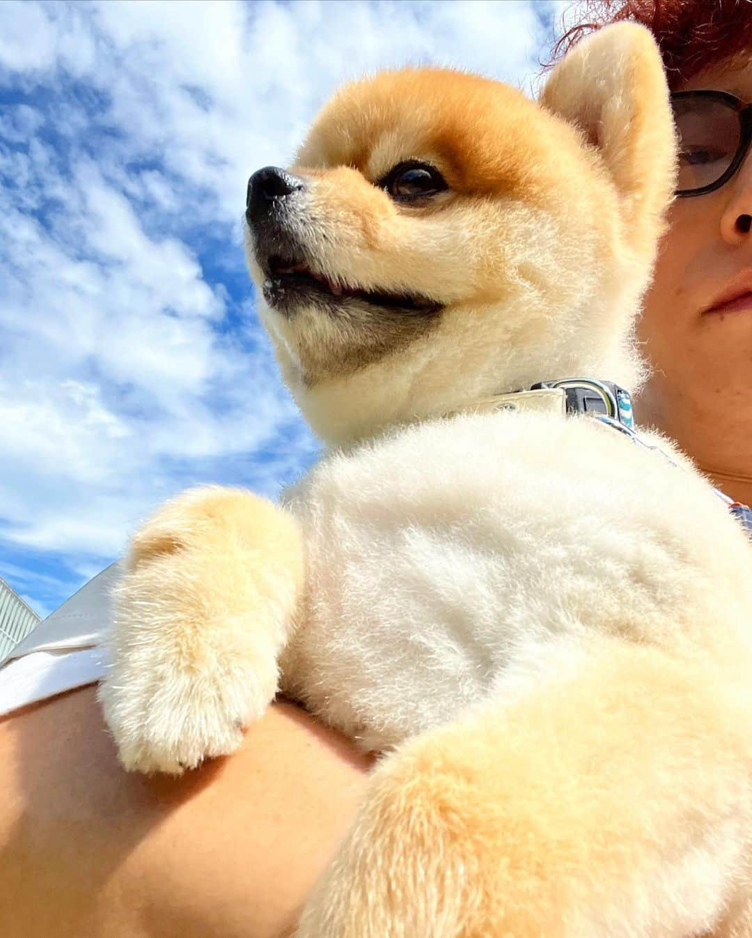 HIROKAZのインスタグラム：「サマー犬🐕🌻🌞」