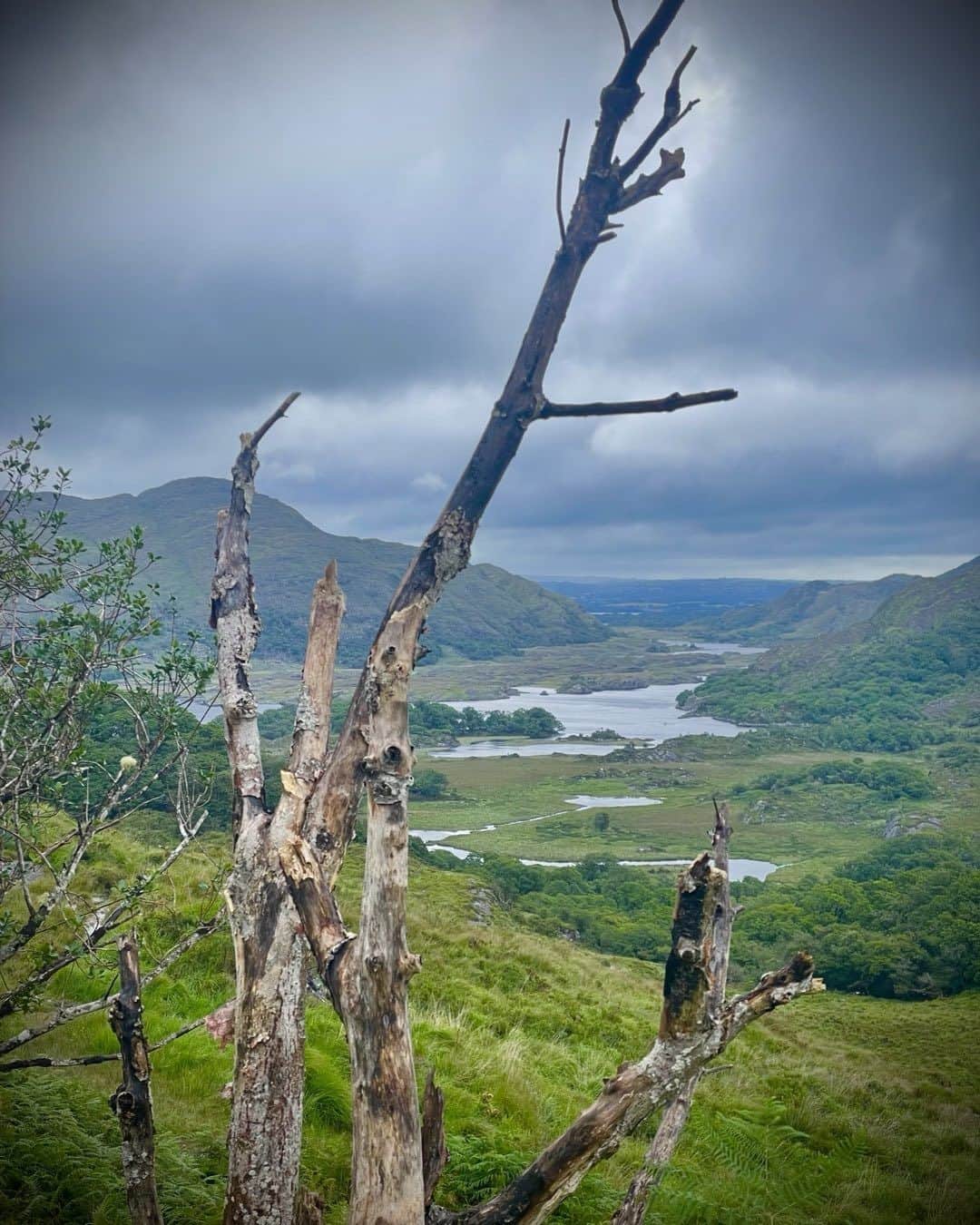 リアム・カニンガムのインスタグラム：「The Kingdom of Kerry. Lakes of Killarney Ireland.」