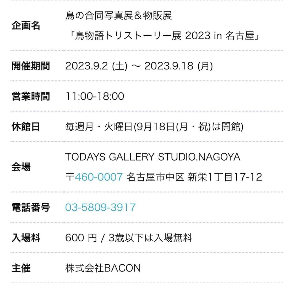 SAORIさんのインスタグラム写真 - (SAORIInstagram)「.  I will exhibit my pictures at the gallery @todaysgallerystudio 🥰 * * 週の真ん中水曜日 今日は嬉しいお知らせです🥰 「鳥物語トリストーリー展 2023 in 名古屋」 に参加させていただきます 2年ぶりとのこと！ 私も伺う予定でいます 名古屋近郊の皆さま 楽しみにしていてくださいね🐦♡ 詳しくは @todaysgallerystudio さまのアカウントへ * * 2023.8.2 #鳥物語展  #鳥物語展名古屋  #インコ #マメルリハ #マメルリハインコ #コザクラ #コザクラインコ #peachfacedlovebird #agapornis #agapornisroseicollis #lovebird #小鳥 #parrotlet #pacificparrotlet #petbird #parakeet #bird #birb #forpus #birdsofinstagram #animalsco  #weeklyfluff #kawaii #Sittich  #perruche #잉꼬 #papagei #papagaio #papağan」8月2日 20時19分 - ramune0123
