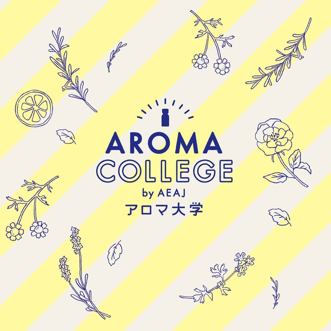 日本アロマ環境協会(AEAJ)さんのインスタグラム写真 - (日本アロマ環境協会(AEAJ)Instagram)「8/2（水）より申込受付開始！アロマ大学2023 Vol.2  アロマテラピーの様々な活用法を学べる大人気イベント「アロマ大学」。 2023年度は全4回をオンラインで実施します。  Vol.2は、9/30（土）開催。 「アロマ環境学科」では、ローズ精油の世界的な生産地、ブルガリア「バラの谷」から、栽培方法や抽出方法をご紹介。 「AEAJ Greetings（第2回）」では、世界各地から集めた精油の香りを体験できる“アロマラボラトリー”の楽しみ方と活用法をお伝えします。  また、過去にオンライン開催した「ローズ学科」の再配信も。 “和ばら“を生花・生体水・乾燥花びらの3種に分け、それぞれの香りを五感で堪能するワークショップを実施いたします。 見逃した方も、もう一度見直したい方もぜひご覧ください。 申し込み期間がコンテンツ毎に異なりますので、お間違いないようお申し込みください。  ----------------------- ▽詳細・お申し込みはこちら https://bit.ly/43KoXTX  ※ストーリーズハイライト「アロマ大学2023」にリンクがございます ※AEAJ Greetingsは9/24（日）23:59まで ※ アロマ環境学科とローズ学科は申し込みを締め切りました  #aeaj #aroma #アロマ #アロマテラピー #アロマ大学 #aeajグリーンテラス  #イベント #オンラインイベント #アロマラボラトリー #アロマ環境学科 #ブルガリアンローズ #ローズ学科 #和ばら」8月2日 21時00分 - aromakankyo_aeaj
