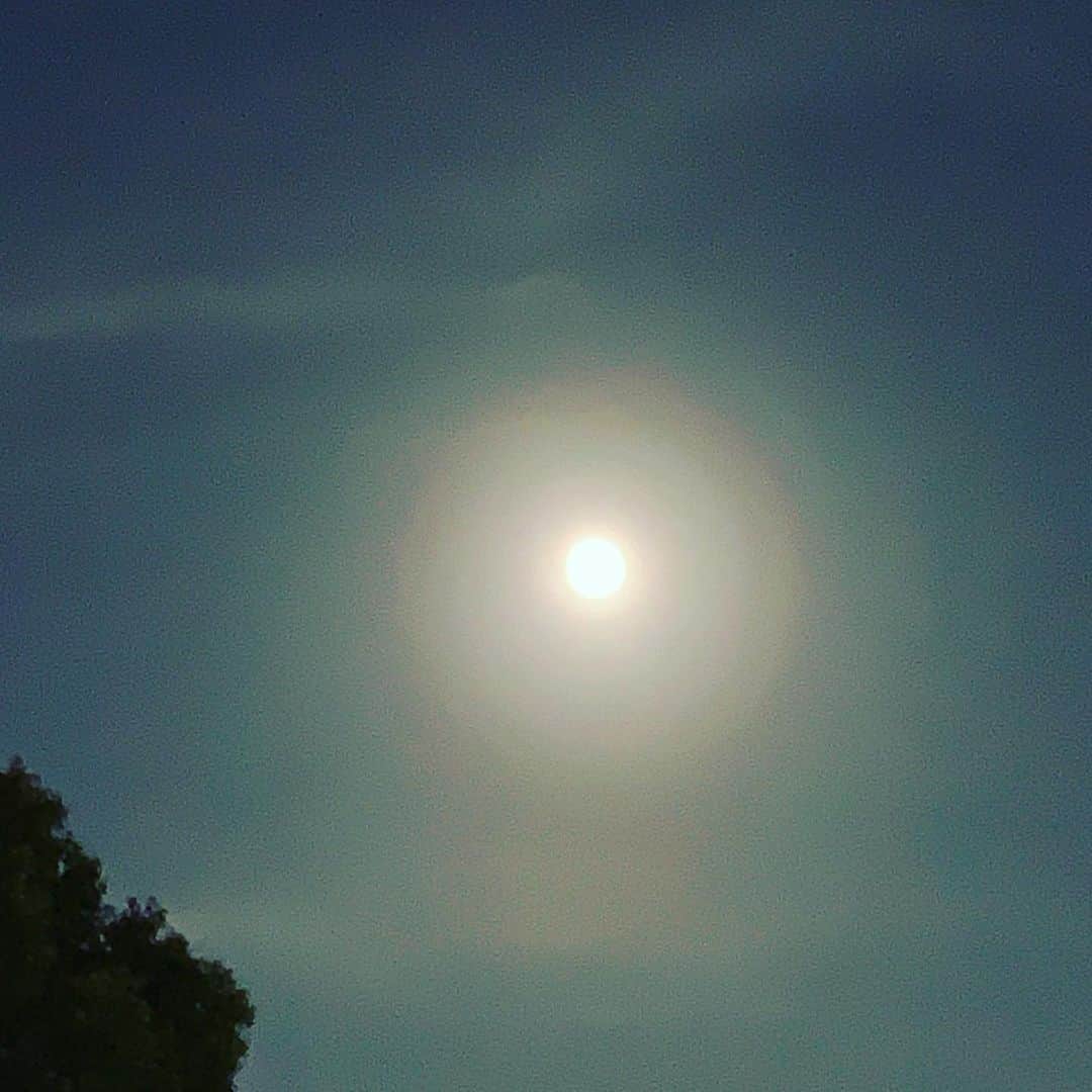 鈴木桃子のインスタグラム：「#満月 #fullmoon #sturgeonmoon2023」