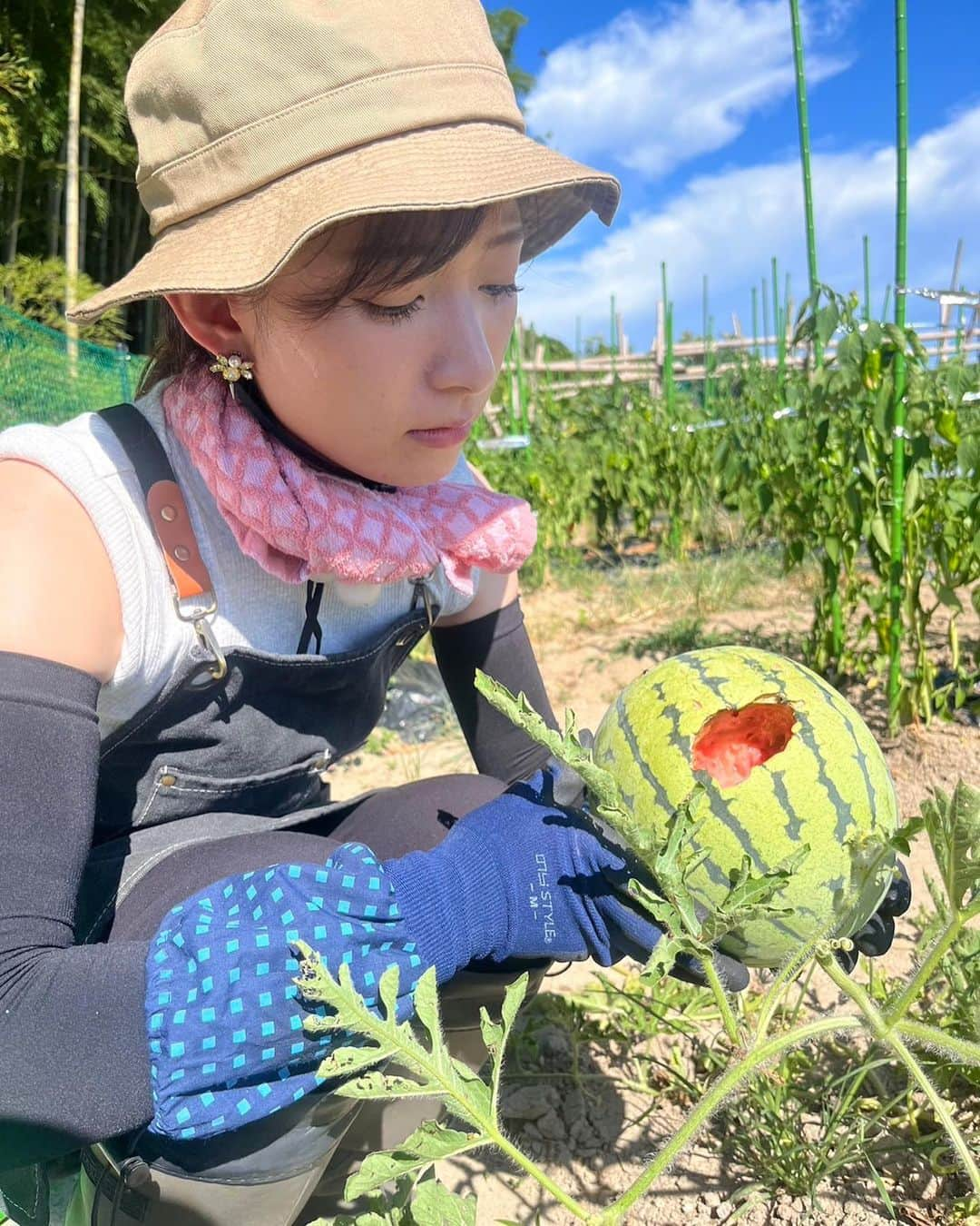 速水里彩さんのインスタグラム写真 - (速水里彩Instagram)「夏だーーーっ🍉😆  なっちゃんママが初めて育てたスイカ🍉 すごく甘くてみずみずしくてとっても美味しかった〜🥹✨ お裾分けありがとう！  わたしのスイカは良い感じに育ってたのに... また！！！やられた😡 どこのどいつだ！！！今度はカラスか！！！😡🐦‍⬛ 悔しくてネットと柵を立てました！  #スイカ #夏だね #🍉 #スイッチファーム #東海テレビスイッチ #森夏美 アナ #ママありがとう #速水里彩」8月2日 21時49分 - hayami.risa