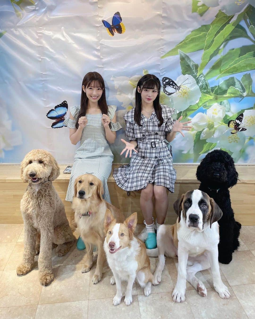 坂本夏海のインスタグラム：「🐶🐾🤍 ⁡ ⁡ みてーーー！！可愛すぎる！！！  まりんとドッグカフェに行ってきました🐕  ⁡ ワンちゃんは飼ってるけど今まで大型犬とはちゃんと触れ合ったことがなかったから嬉しかったなあ💭  ⁡ セラピードッグとして訓練を頑張ってる、小型犬〜大型犬のワンちゃんたちと触れ合えるんだけど、みんなすごくいいこで可愛くて癒されまくりました🥹🤍 ⁡  ⁡ はああいぬってかわいい 、、、 ⁡ ⁡ #ドッグカフェ  #セラピードッグ  #犬カフェ #犬のいる暮らし  #いぬすたぐらむ  #犬スタグラム  #わんこ #いぬのいる暮らし  #イッヌ #dogcafe #doglover  #dogcafeflorence」