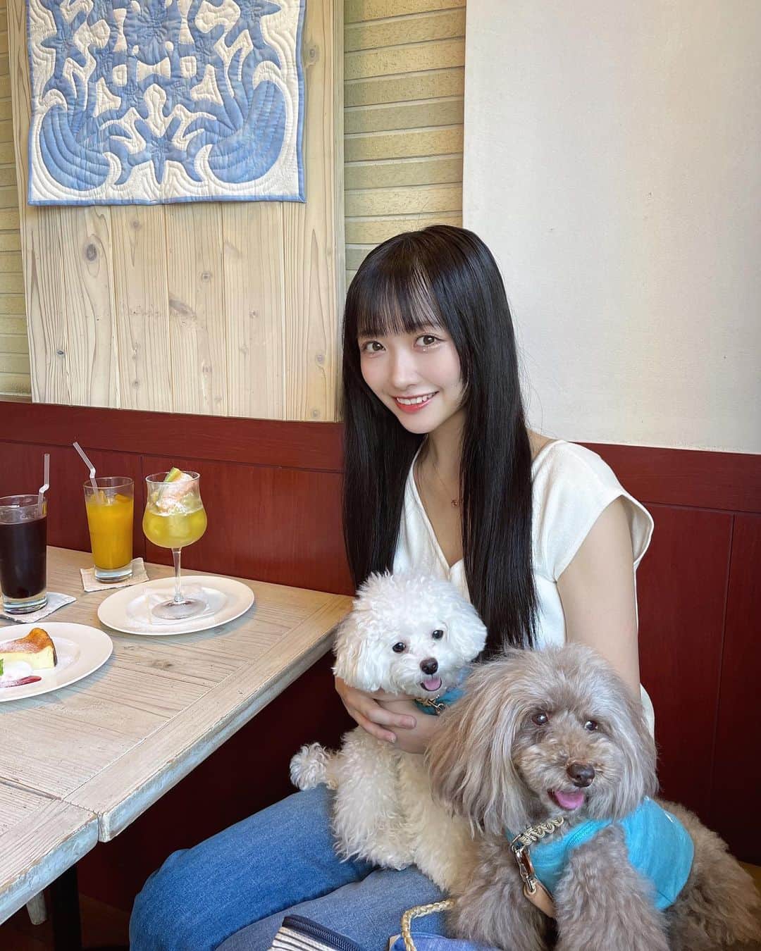 石田千穂のインスタグラム：「吉田家のわんちゃんとご対面！ さらぴが定期的に動画とか写真を送ってくれてて、その度に癒されてたんです。 まさか直接会えるとは！嬉しすぎました…また会いたい🥹 最高の休日でした🥹」