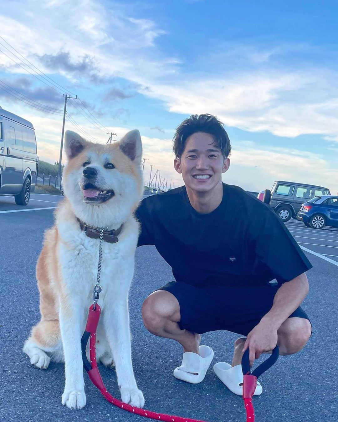 荒井陸のインスタグラム：「Japanese Akita 🐶⛱️」