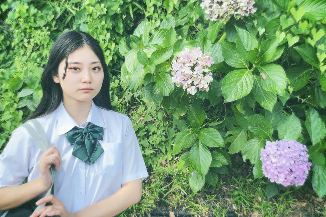 中心愛のインスタグラム：「ショードラ 『紫陽花の咲く頃に』  #ショードラ #紫陽花 #tiktok #ドラマ」