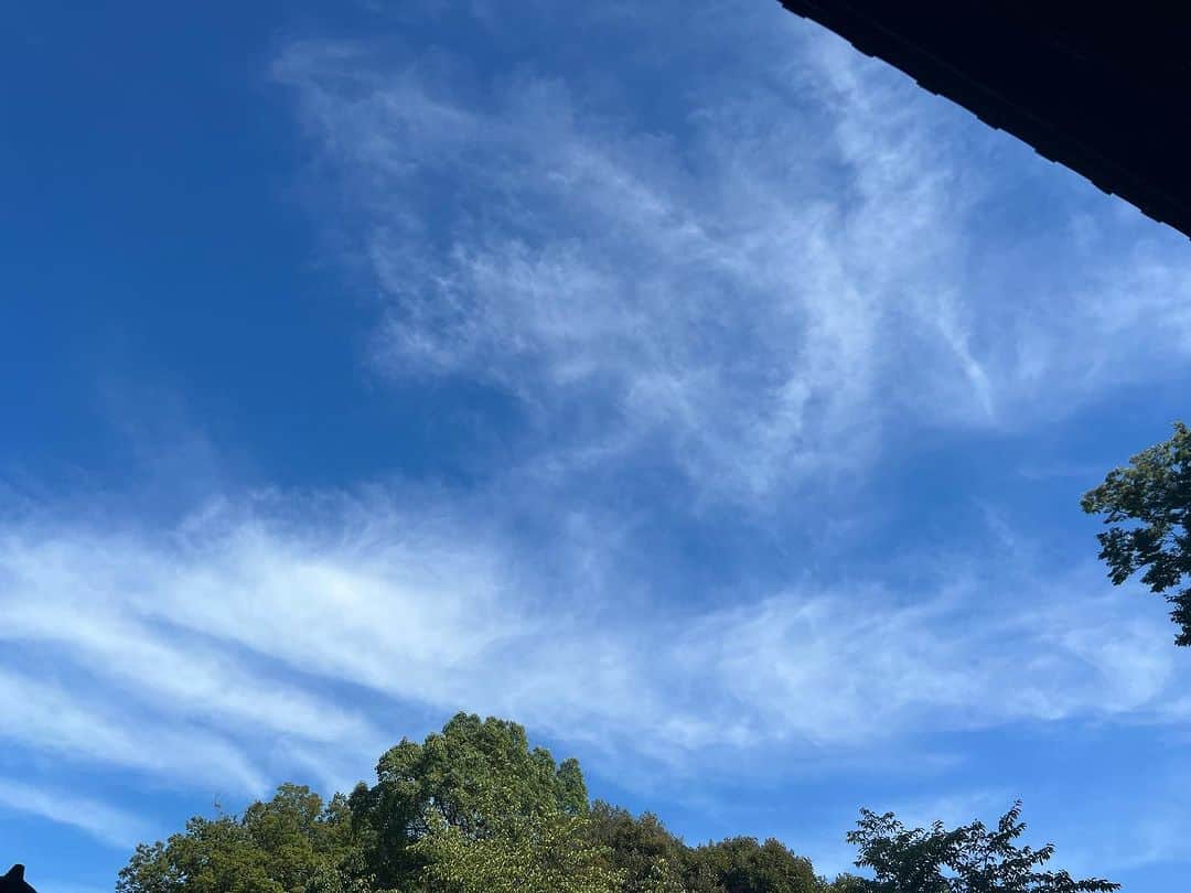 柿崎洋一郎のインスタグラム：「子供の頃から雲を見てぼーっとしてるのが好きだった 今では何をしててもぼーっとしてますが(笑)」