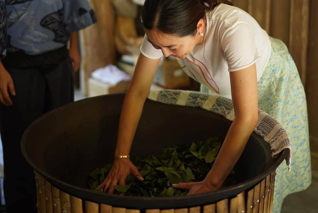 鈴木六夏さんのインスタグラム写真 - (鈴木六夏Instagram)「@6hana_beauty のキー成分 奈良の健一自然公園のお茶畑を訪問した時には、健一さんに教わり  畑から茶葉を摘み、熱い釜で炒って、お茶っ葉にするまでの過程を初めて体験しました！  自然の成り立ちのなかで、力強く育った茶葉たちは、お茶になると本当に美味しくて驚きました！全然違うっ✨✨✨  今回の２本セットにはこのお茶がついてきますから、ぜひとも楽しんでくださいね！  @kenichishizennouen  @6hana_beauty」8月2日 23時09分 - rikuka.62
