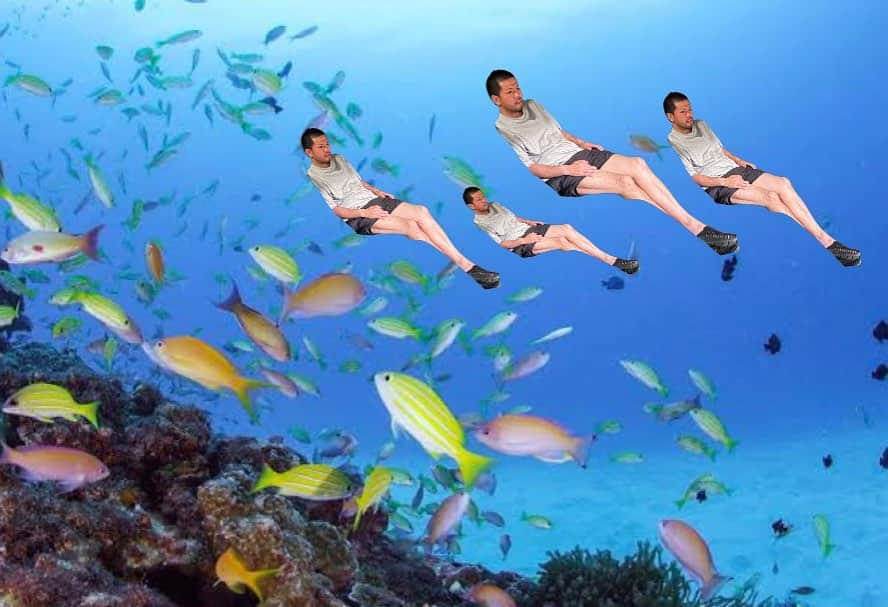 おんむすのインスタグラム：「#hispec #squid」
