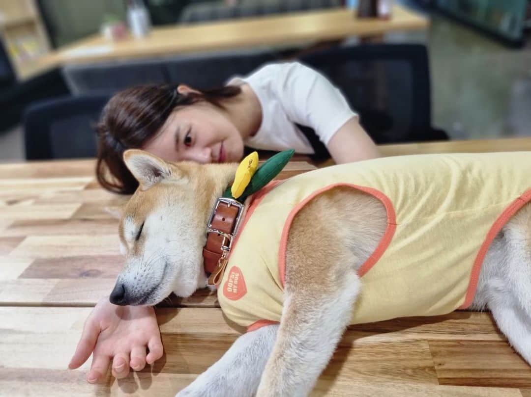 シン・ゴウンのインスタグラム：「드디어 호두대리님 만난썰푼다. ㅋㅋㅋㅋㅋㅋ 귀여워 아😍  #땅콩이한텐비밀이에요 #호두대리님꿀잠」