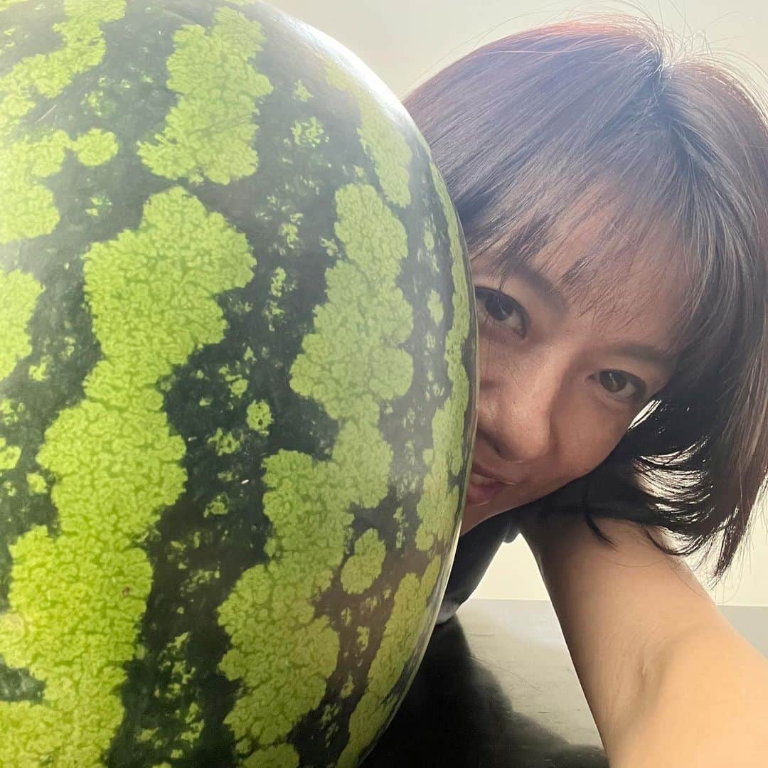 梅津弥英子さんのインスタグラム写真 - (梅津弥英子Instagram)「☺︎ 大きなスイカが届きました。冷やしていただきます。 #西瓜 #スイカ #水瓜 #水分補給 #今日はお休み #のんびりしたい」8月3日 11時34分 - yaeko.umezu