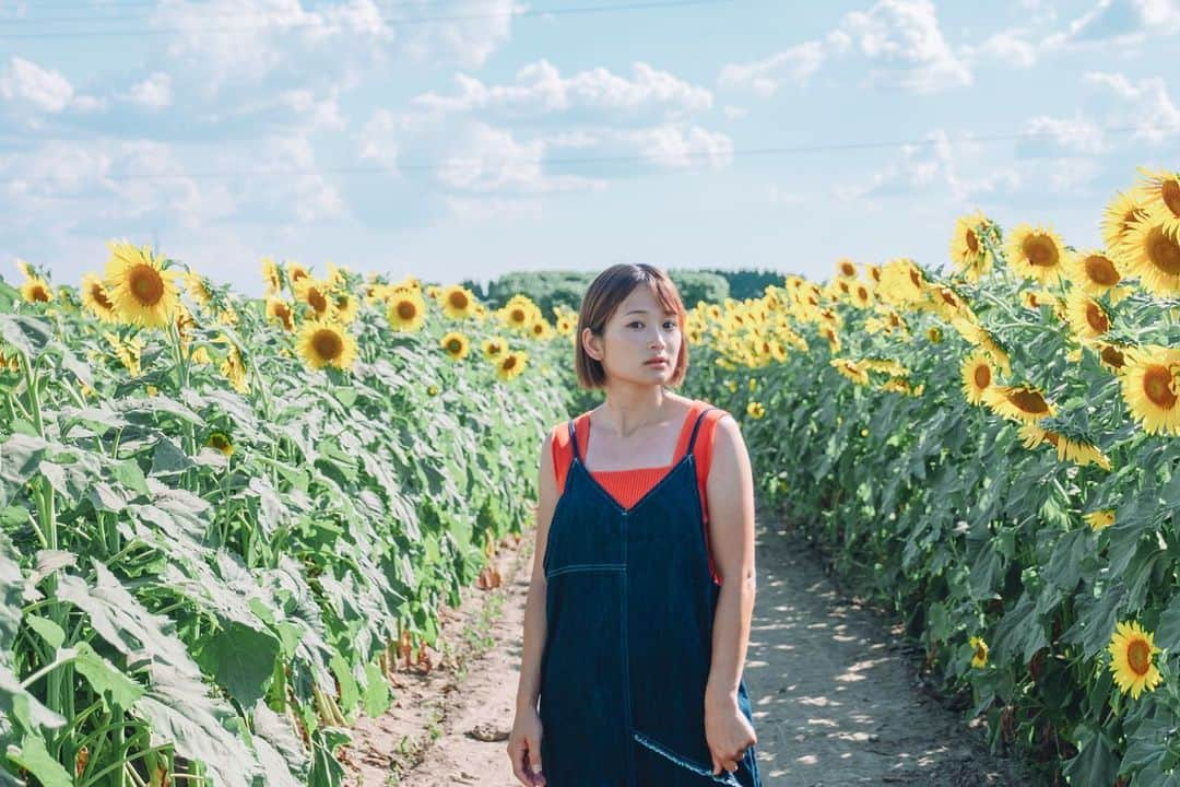 山中日菜美のインスタグラム：「.  ひまわりに囲まれてきた🌻  夏ずっと咲いてるイメージやけど そんなに長くは咲かないんだね😶  ちなみに、ある時の私のニックネームはハム太郎です🐹  #陸上#陸上競技#陸上女子#アスリート#スポーツ#スプリント#被写体#被写体モデル#ポートレート#滋賀県#ひまわり#向日葵ポートレート #向日葵の季節 #8月#夏#おいで野洲ひまわり迷路 #portrait#photo#followme#like4like#f4f#instagood#photography#photo#photooftheday」