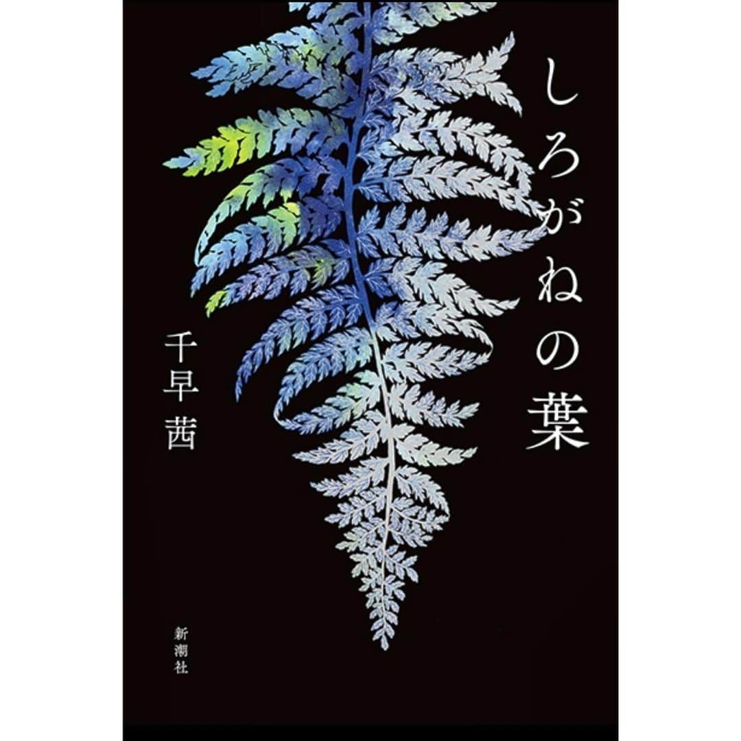 家入レオさんのインスタグラム写真 - (家入レオInstagram)「数年前、何故か気になって書店で手に取った「男ともだち」  自宅で読み終えた時の気持ちを今でも鮮明に覚えている。  その後幸運にも千早さんと対談させていただく機会に巡り合い、綺麗と思うものや望む色が似ているのかも、とおこがましくも隣で思っていた。それは同じ性を授かったから、という理由を越えて、もっと動物的に近い生まれからな気がした。  「しろがねの葉」  純粋すぎて、時にそれは人を怯えさせてしまう程の想いだけど、私はそんなウメがとっても好きだった。  ウメと隼人、ウメと喜兵衛。  相手に魅せられる気持ちに従って 力尽くで組み伏せ、手に入れる美しさと。 心惹かれるからこそ、それ以上は望まない、一線を越えない美しさと。  どちらが本当に相手を想っていることになるのかは、人それぞれだけど、住まいを変えても一緒に持っていく本がまた一冊増えて嬉しい！  直木賞を受賞された直後に、この投稿を上げるのもなー、となんだか気が引けて。千早さんのお誕生日だった昨日も、結局手が止まってしまった。(ご本人にはご連絡しましたが！)面倒くさいけど、千早さんだったら分かってくださると思う。笑  改めて直木賞受賞、心からおめでとうございます！！  #しろがねの葉 #千早茜#直木賞 #男ともだち」8月3日 11時42分 - leoieiri