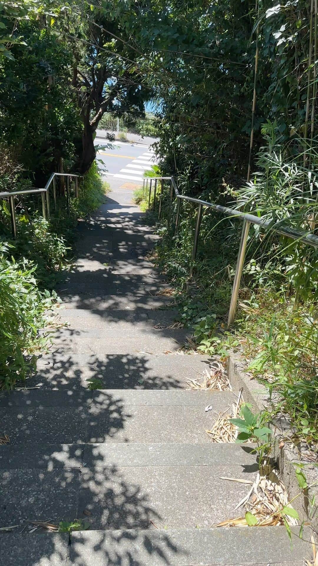 中野英雄のインスタグラム：「walkingの始まり」