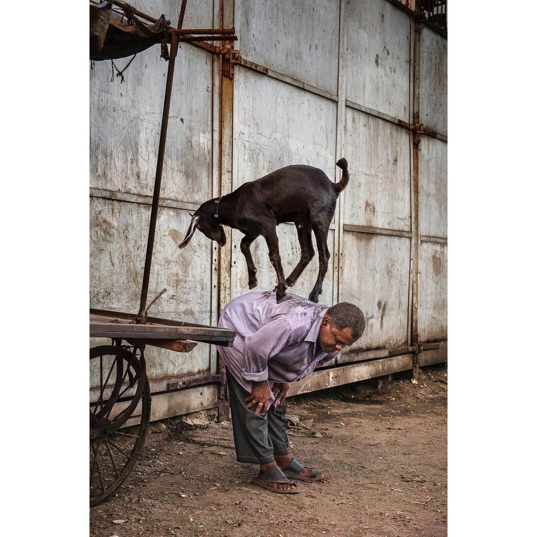 スティーブ・マカリーのインスタグラム：「This man shows his goat's trick. Mumbai, India, 2010.」