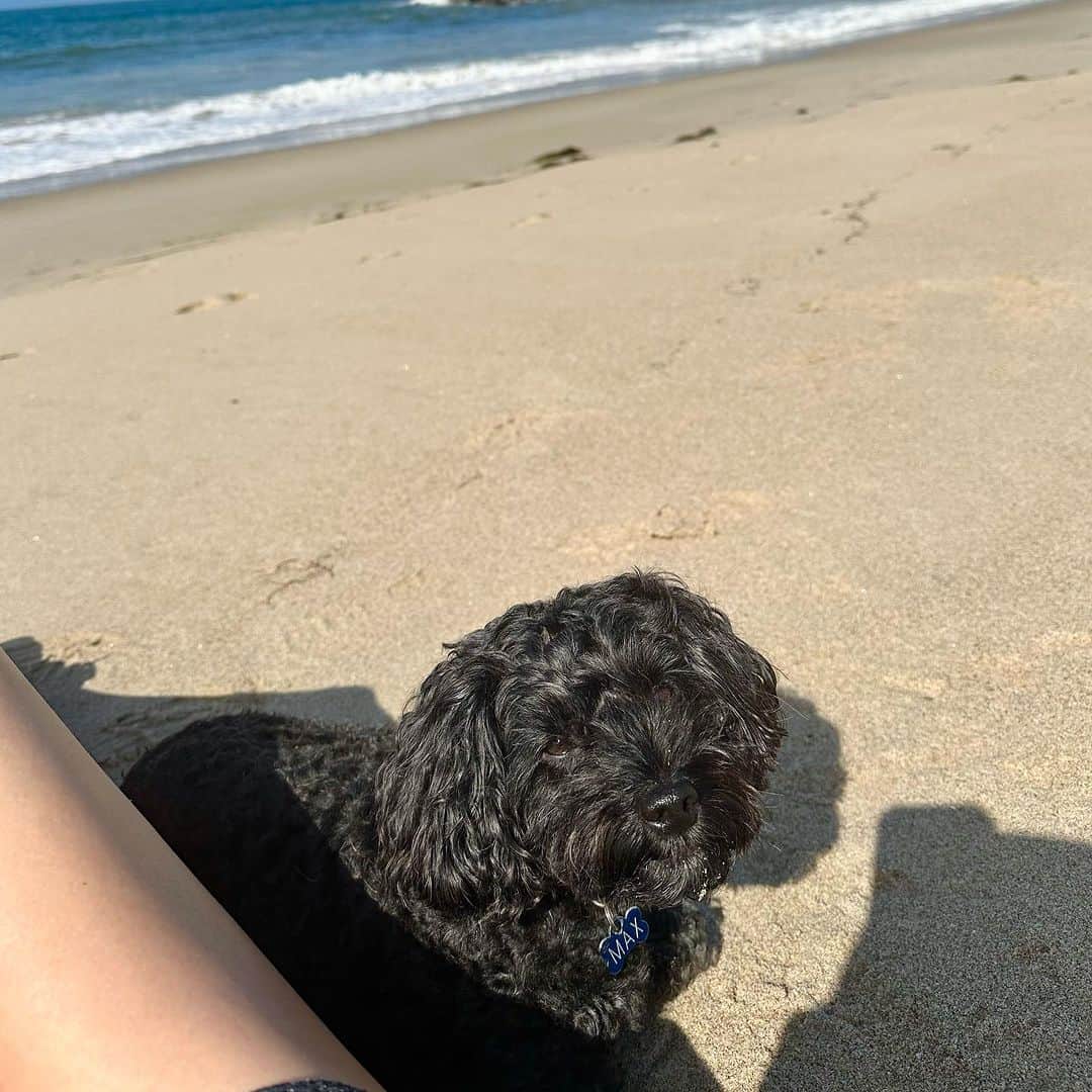ステファニー・プラットのインスタグラム：「He has such a sweet little boy smile!!🥰😊🥰😊❤️ the good boy!」