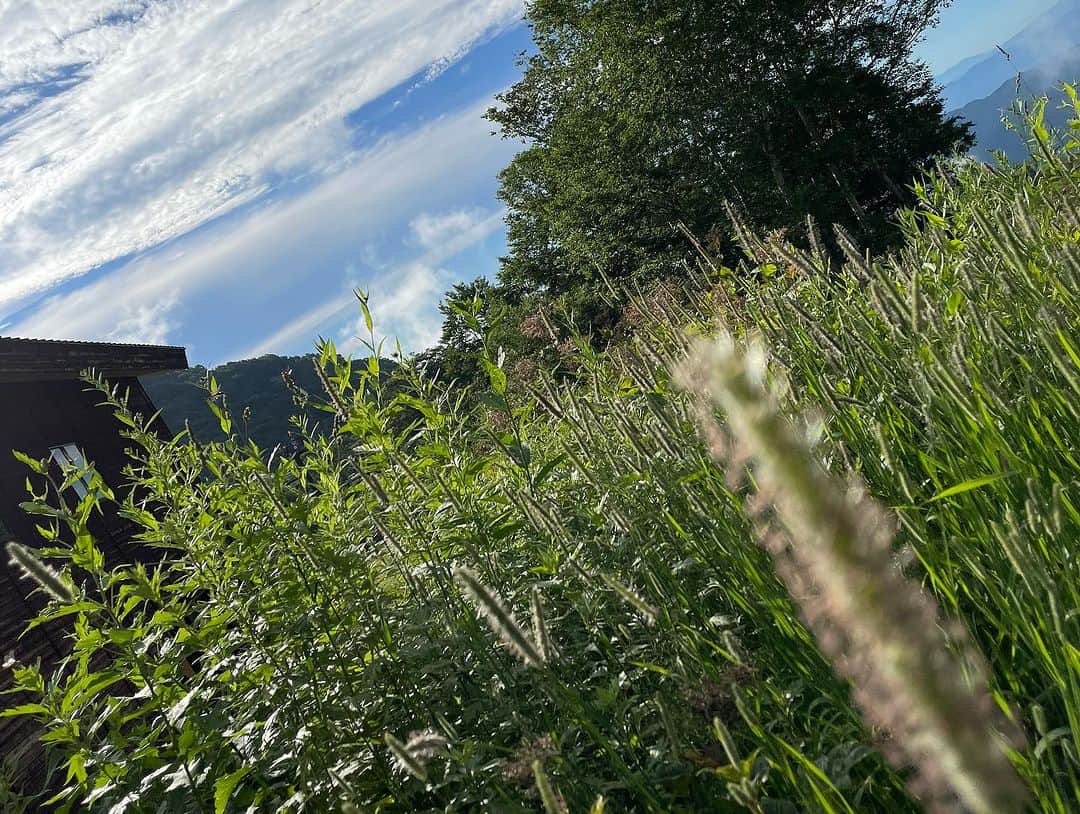 栂池高原スキー場さんのインスタグラム写真 - (栂池高原スキー場Instagram)「おはようございます🌞  つがいけゴンドラ山頂の朝一情報です。 天候　晴れ 気温　18℃ 風　0m/s  夏空の"青" そこに浮かぶ雲の"白" 山々の"緑" がとても映える景色が見えます。 ぜひお越し下さい。  #栂池  #栂池高原スキー場  #つがいけマウンテンリゾート  #白馬つがいけwow  #白馬 #家族の時間  #車でお出かけ  #空中散歩 #北アルプス #長野県 #絶景 #ロープウェイ」8月3日 7時09分 - tsugaike_kogen