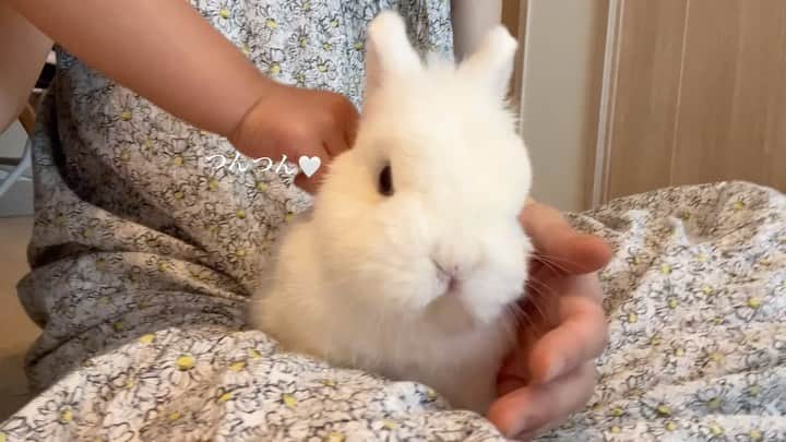 うー & なー ❤️ウチムラのインスタグラム