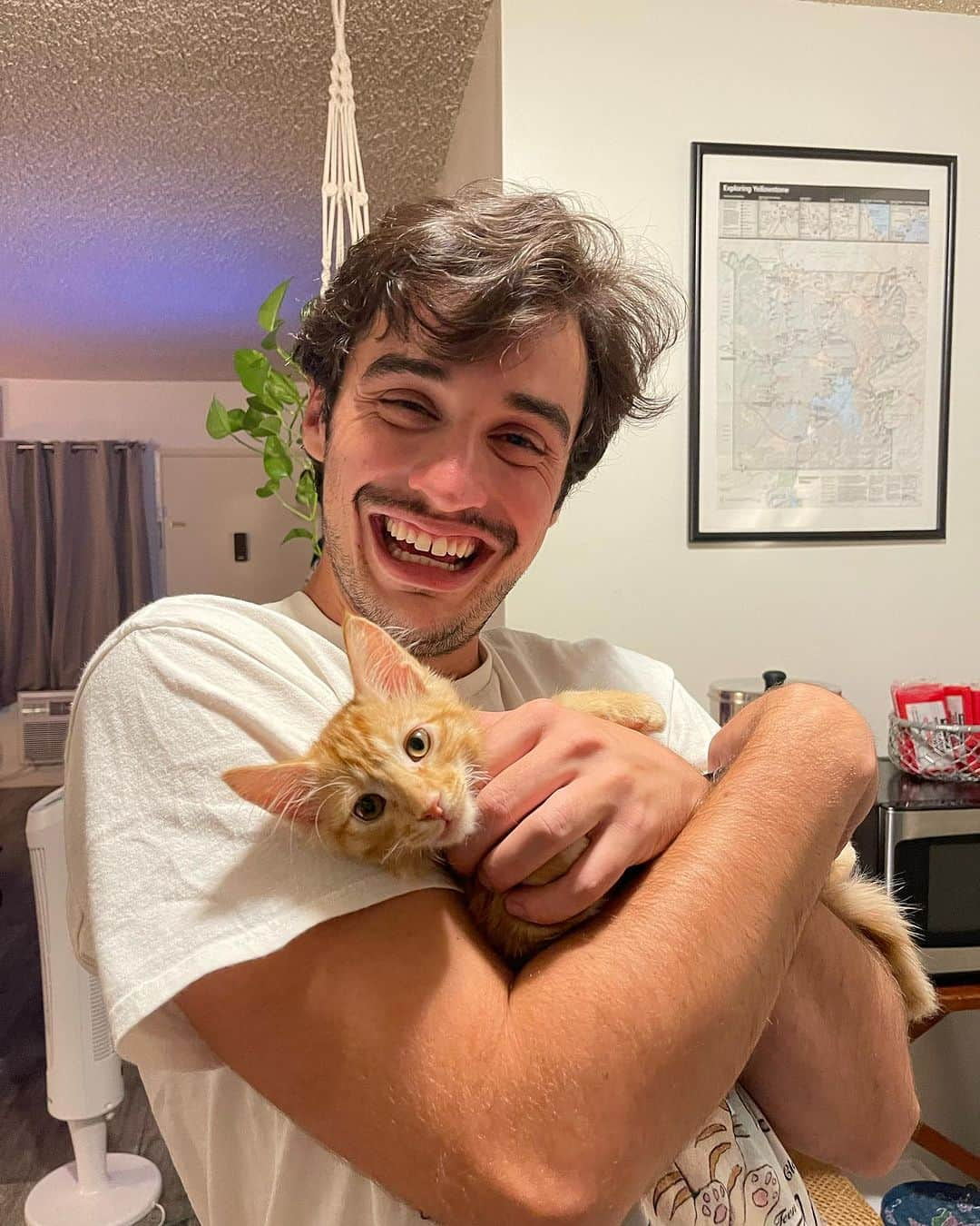 ジョーイ・ブラッグさんのインスタグラム写真 - (ジョーイ・ブラッグInstagram)「July July July. Never seemed so strange.」8月3日 7時56分 - joeybragg