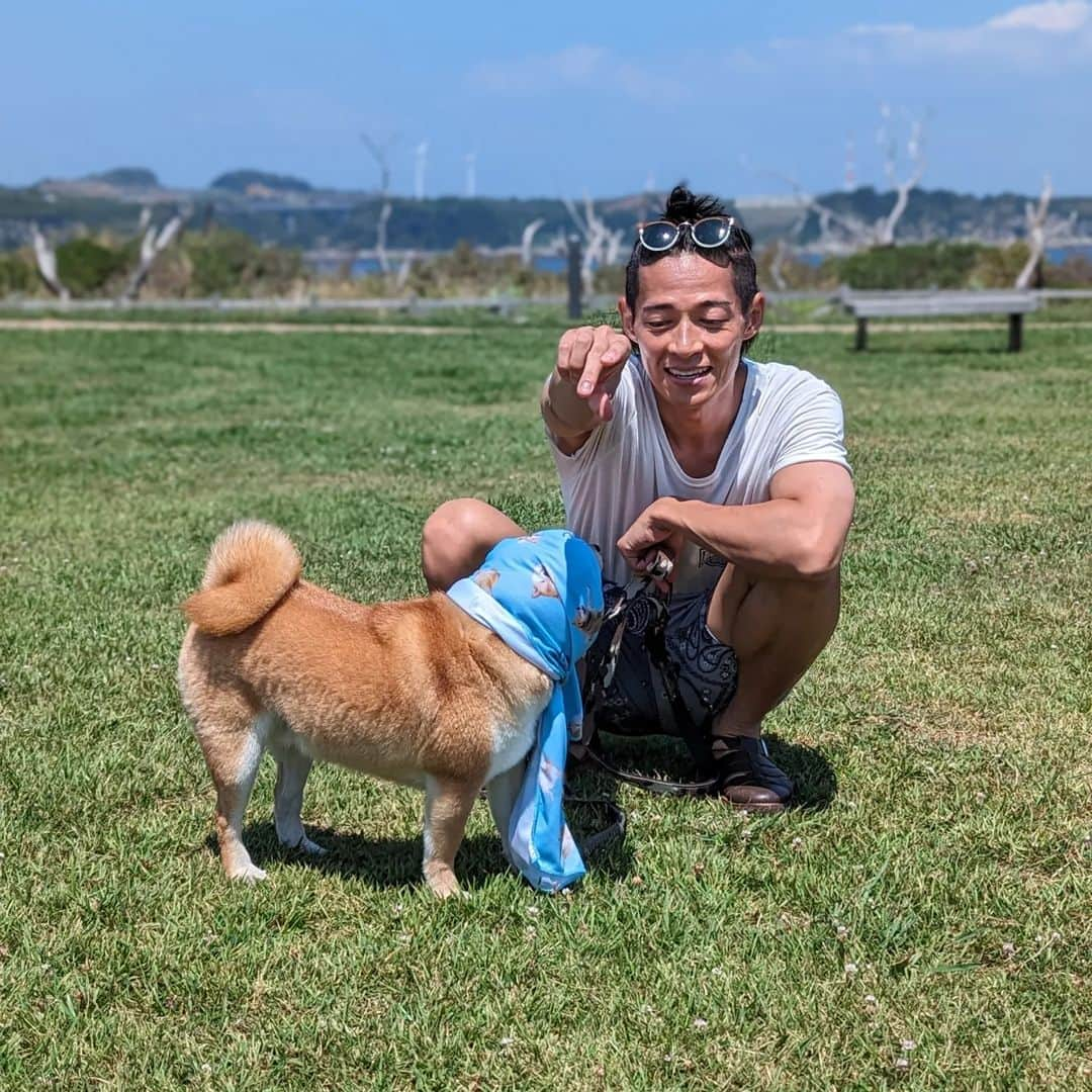 久保裕丈さんのインスタグラム写真 - (久保裕丈Instagram)「夏は犬の色んな表情が見られるから好き。 はむは暑くて大変そうだけど、今年の夏も楽しもうね🦮 #柴犬 #柴犬のいる暮らし #柴犬部 #shibainu #shibadog　#豆柴 #mameshiba #mameshibapuppy #puppy #summer #夏　#海　#海と柴犬 #夏大好き」8月3日 8時49分 - hirotakekubo