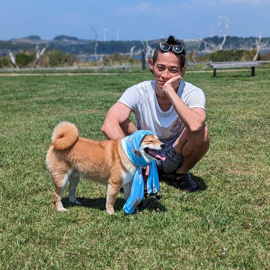 久保裕丈さんのインスタグラム写真 - (久保裕丈Instagram)「夏は犬の色んな表情が見られるから好き。 はむは暑くて大変そうだけど、今年の夏も楽しもうね🦮 #柴犬 #柴犬のいる暮らし #柴犬部 #shibainu #shibadog　#豆柴 #mameshiba #mameshibapuppy #puppy #summer #夏　#海　#海と柴犬 #夏大好き」8月3日 8時49分 - hirotakekubo